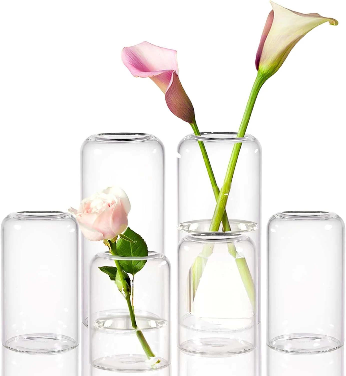 ست گلدان شیشه‌ای زنز، ۶ عددی، گلدان‌های کوچک دست‌ساز مدرن برای گل، گلدان شیشه‌ای استوانه‌ای شفاف برای تزئین عروسی، دکوراسیون منزل اتاق نشیمن
