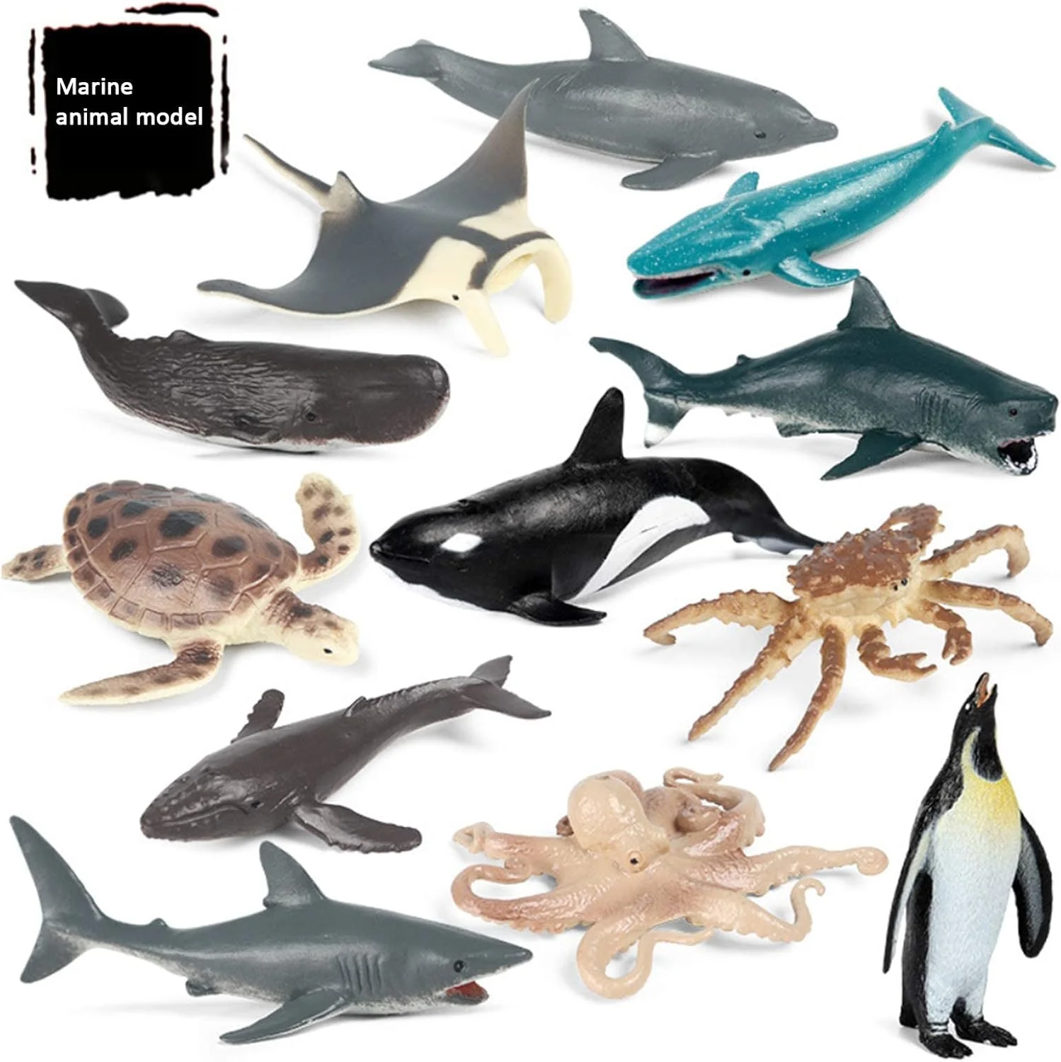 مجسمه حیوانات مینی سافاری KASTWAVE، اسباب بازی مجسمه حیوانات دریایی پلاستیکی واقعی، تزیین کیک جشن تولد کودکان شامل پنگوئن ها، لاک پشت ها، اختاپوس ها، نهنگ های گوژپشت، نهنگ ها و غیره (12 عدد) مجسمه حیوانات مینی سافاری KASTWAVE، اسباب بازی مجسمه حیوانات دریایی پلاستیکی واقعی، تزیین کیک جشن تولد کودکان شامل پنگوئن ها، لاک پشت ها، اختاپوس ها، نهنگ های گوژپشت، نهنگ ها و غیره (12 عدد)
