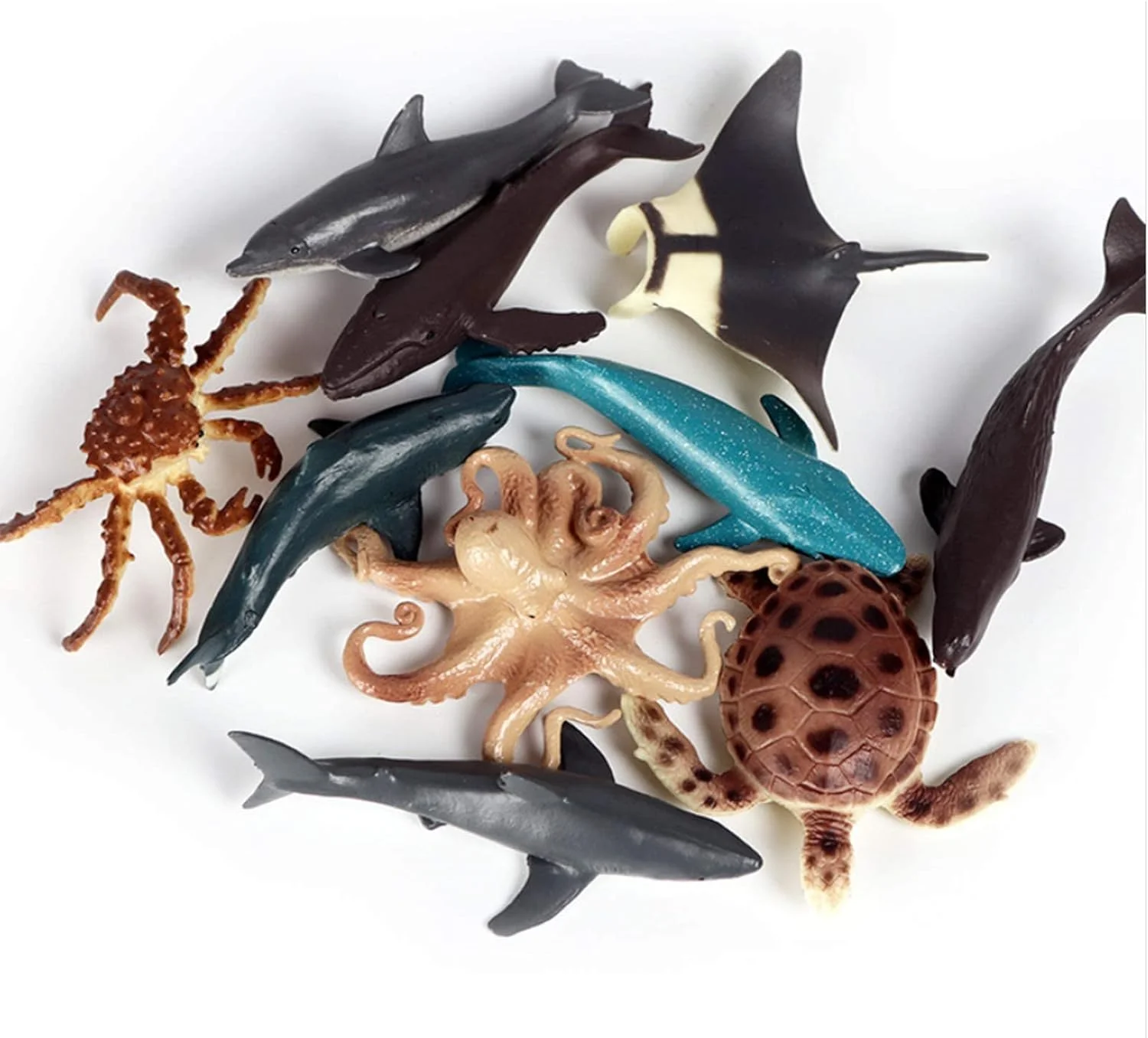 مجسمه حیوانات مینی سافاری KASTWAVE، اسباب بازی مجسمه حیوانات دریایی پلاستیکی واقعی، تزیین کیک جشن تولد کودکان شامل پنگوئن ها، لاک پشت ها، اختاپوس ها، نهنگ های گوژپشت، نهنگ ها و غیره (12 عدد) مجسمه حیوانات مینی سافاری KASTWAVE، اسباب بازی مجسمه حیوانات دریایی پلاستیکی واقعی، تزیین کیک جشن تولد کودکان شامل پنگوئن ها، لاک پشت ها، اختاپوس ها، نهنگ های گوژپشت، نهنگ ها و غیره (12 عدد)