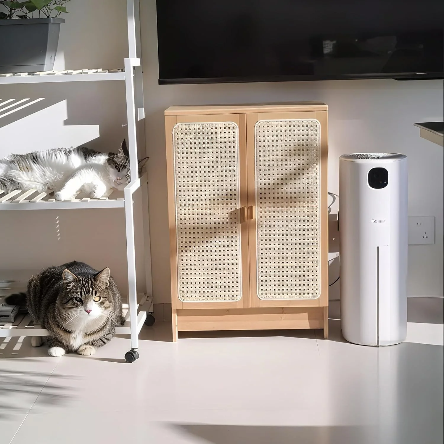 کابینت ایستاده برای روتر وای فای، جعبه نگهداری روتر، مودم کابلی و تجهیزات شبکه - طراحی شیک با تهویه و مدیریت کابل کابینت ایستاده برای روتر وای فای، جعبه نگهداری روتر، مودم کابلی و تجهیزات شبکه - طراحی شیک با تهویه و مدیریت کابل