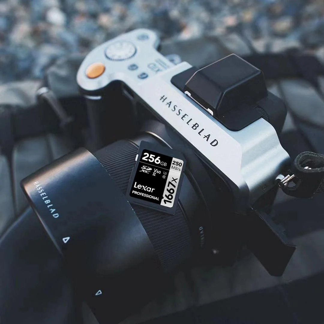 کارت حافظه لکسار Professional 1667x SD با ظرفیت 256 گیگابایت، کارت حافظه SDXC UHS-II، سرعت خواندن تا 250 مگابایت بر ثانیه، سرعت نوشتن 120 مگابایت بر ثانیه، کلاس 10، U3، V60 SD برای عکاسان، فیلمبرداران و علاقه مندان حرفه ای (LSD256CB1667) کارت حافظه لکسار Professional 1667x SD با ظرفیت 256 گیگابایت، کارت حافظه SDXC UHS-II، سرعت خواندن تا 250 مگابایت بر ثانیه، سرعت نوشتن 120 مگابایت بر ثانیه، کلاس 10، U3، V60 SD برای عکاسان، فیلمبرداران و علاقه مندان حرفه ای (LSD256CB1667)