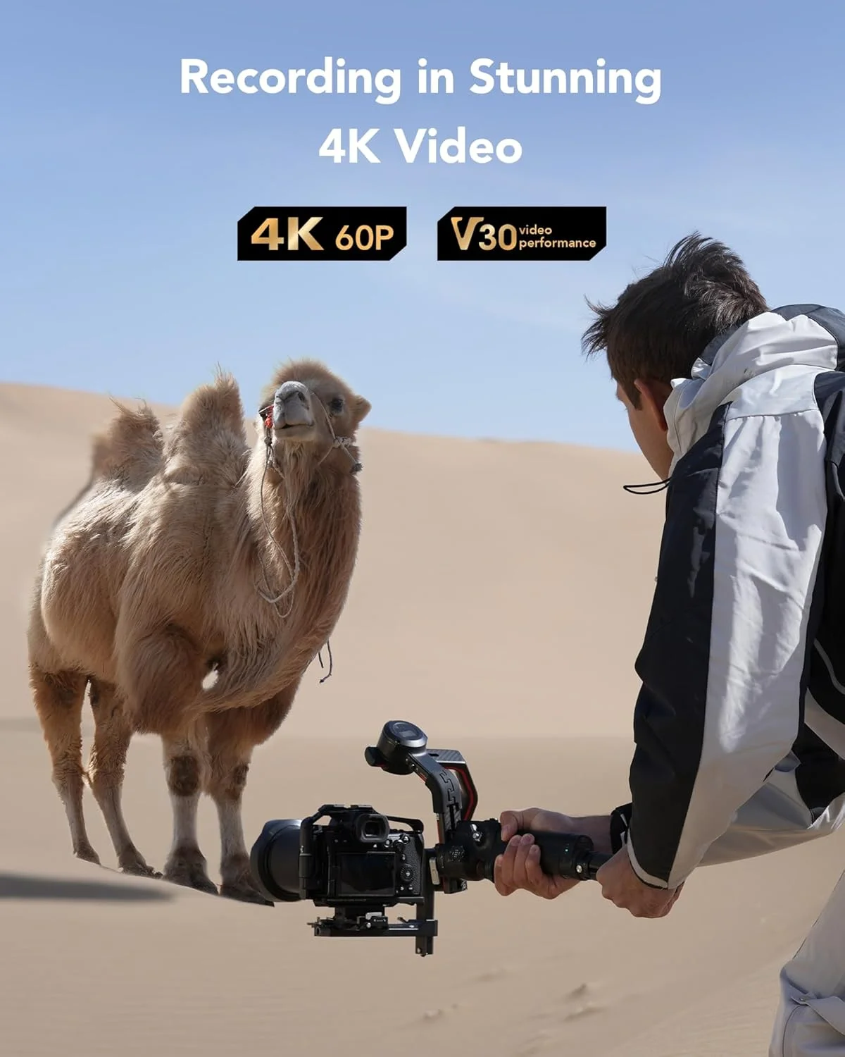 کارت حافظه لکسار سیلور SD با ظرفیت 512 گیگابایت، کارت SDXC UHS-I با سرعت خواندن 205 مگابایت بر ثانیه و سرعت نوشتن 140 مگابایت بر ثانیه، V30, U3, C10، مناسب برای ویدیوهای 4K UHD به همراه بازیابی اطلاعات