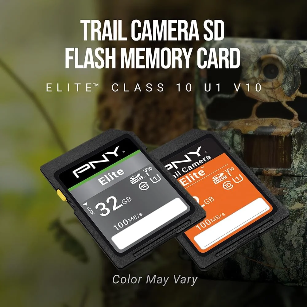 کارت حافظه فلش دوربین PNY 32GB Elite Class 10 U1 V10 SDHC با سرعت خواندن تا 100 مگابایت بر ثانیه، UHS-I، عکس HD، فیلم HD، برای دوربین های فضای باز، دوربین های DSLR، استفاده لمسی، علاقه مندان به حیات وحش، بسته 5 عددی