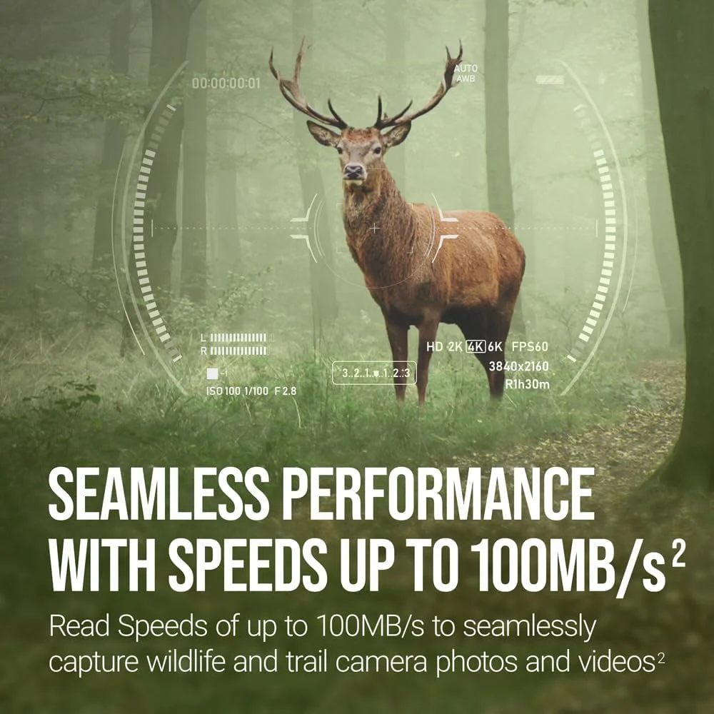 کارت حافظه فلش دوربین PNY 32GB Elite Class 10 U1 V10 SDHC با سرعت خواندن تا 100 مگابایت بر ثانیه، UHS-I، عکس HD، فیلم HD، برای دوربین های فضای باز، دوربین های DSLR، استفاده لمسی، علاقه مندان به حیات وحش، بسته 5 عددی