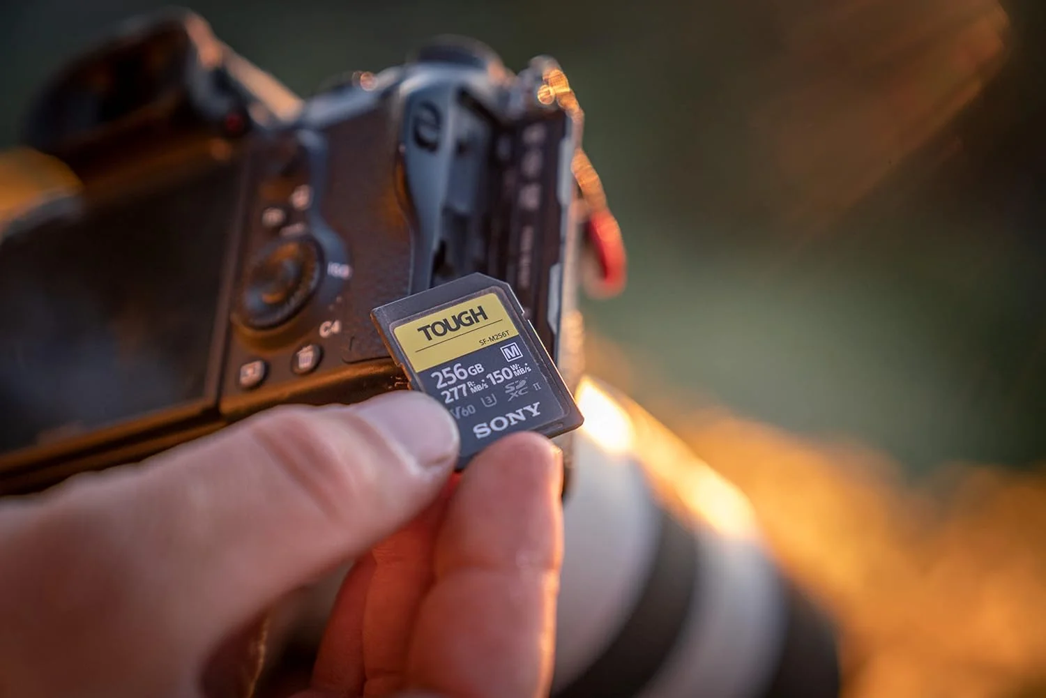 کارت حافظه دیجیتال 256 گیگابایتی Sony SDXC سری SF-M Tough - V60 UHS-II U3 - سرعت خواندن 277 مگابایت بر ثانیه و نوشتن 150 مگابایت بر ثانیه [SFM256T]