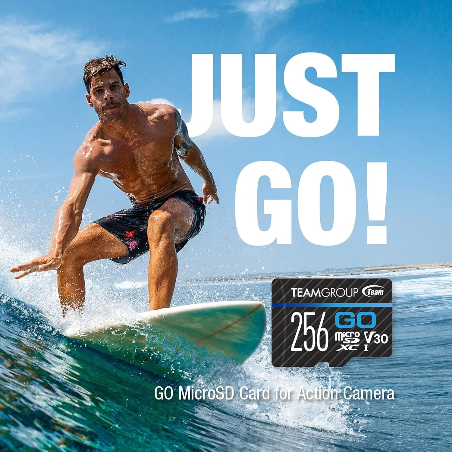 کارت حافظه TEAMGROUP GO با ظرفیت 256 گیگابایت بسته 5 عددی Micro SDXC UHS-I U3 V30 4K مناسب برای GoPro، پهپاد، دوربین های اکشن، کارت حافظه فلش پرسرعت برای ورزش های فضای باز، فیلمبرداری 4K، Nintendo-Switch TGUSDX256GU368