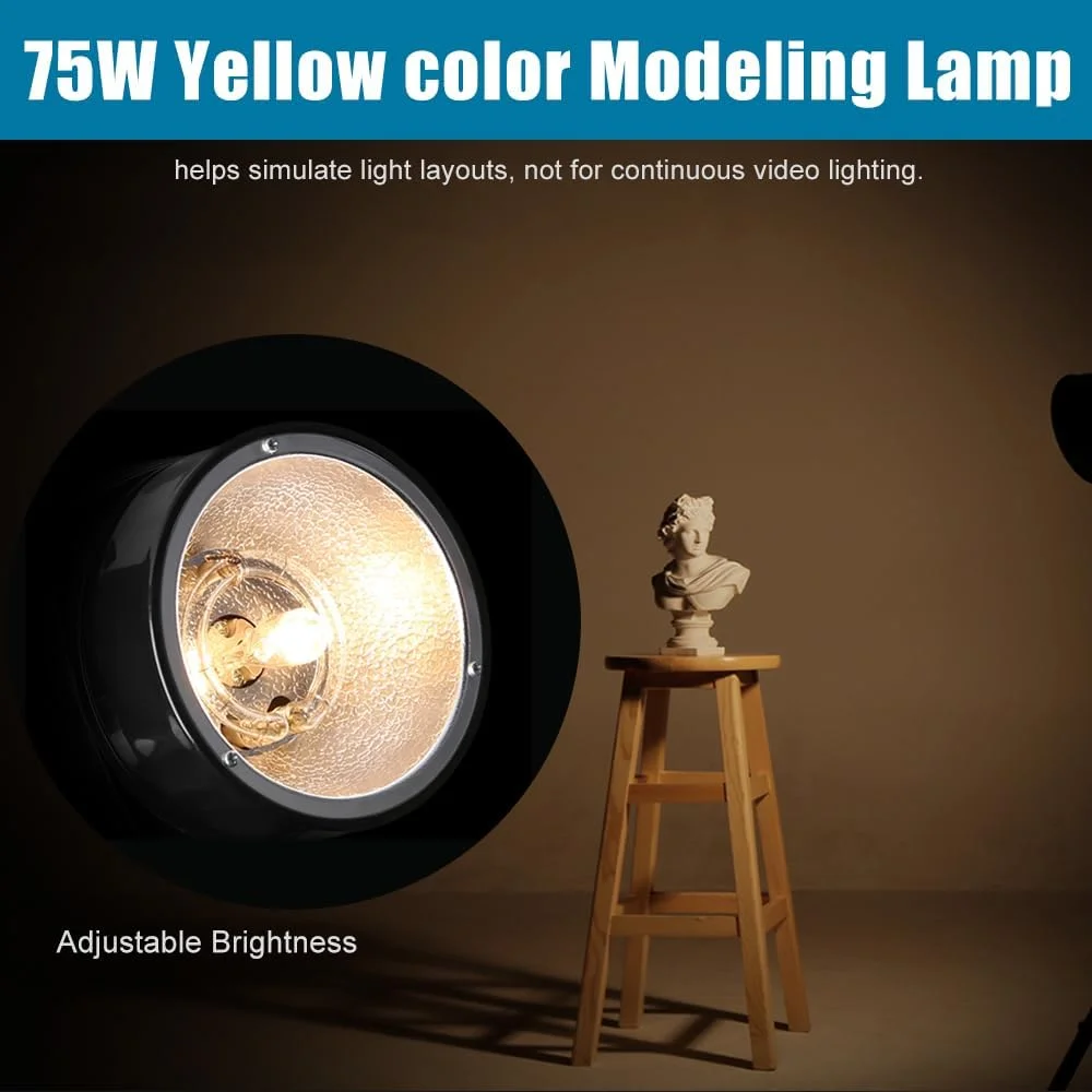 کیت نورپردازی استودیویی حرفه ای گودکس برای عکاسی، 2 عدد مونو لایت 180 وات 5600K با تریگر، سافت باکس، پایه نور