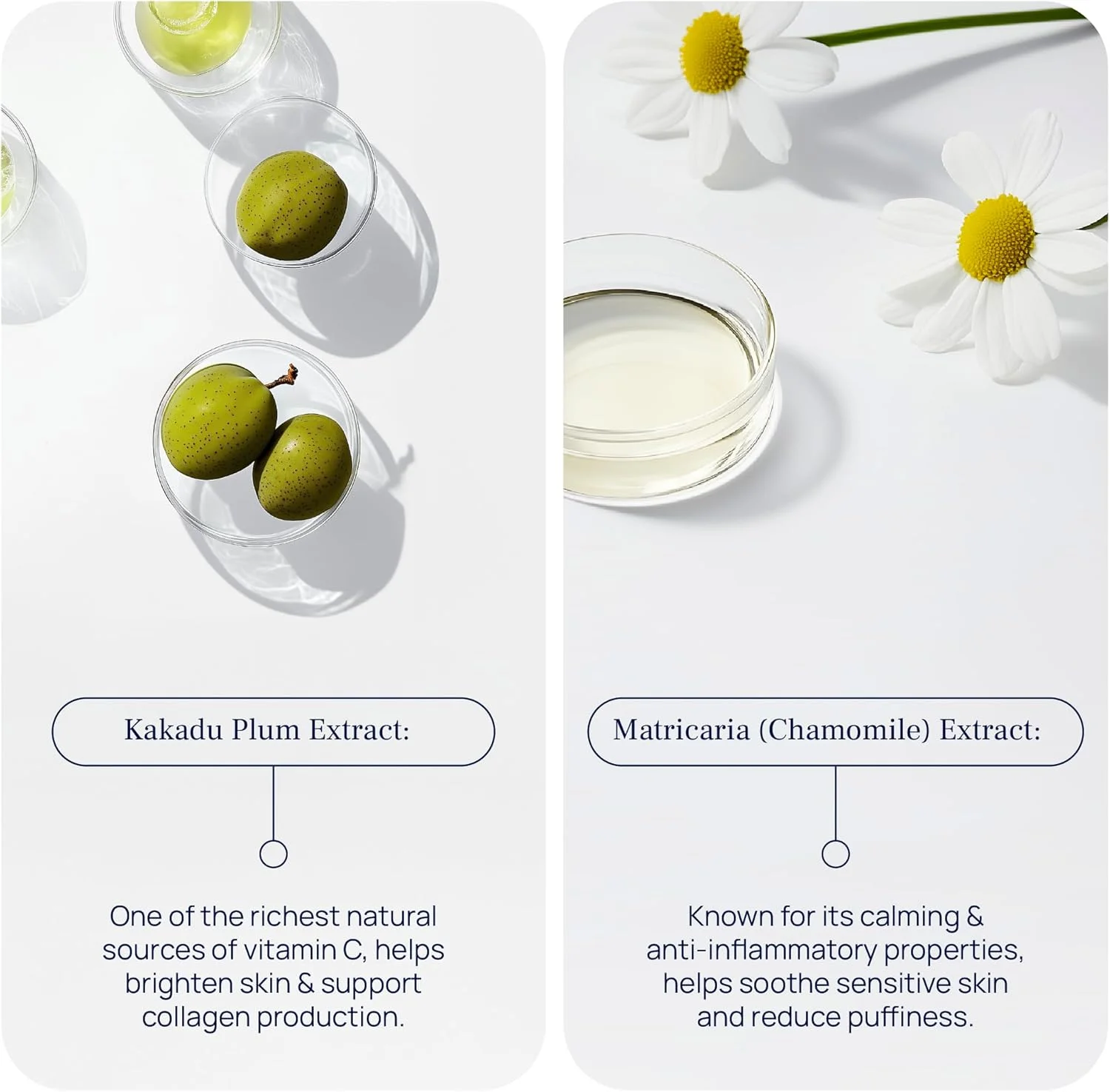 کرم دور چشم PUREANCE Eve - فرمول با آنتی اکسیدان ها و پپتیدها - برای چین و چروک، پف زیر چشم و تیرگی دور چشم - ضد پیری و بدون تست حیوانی