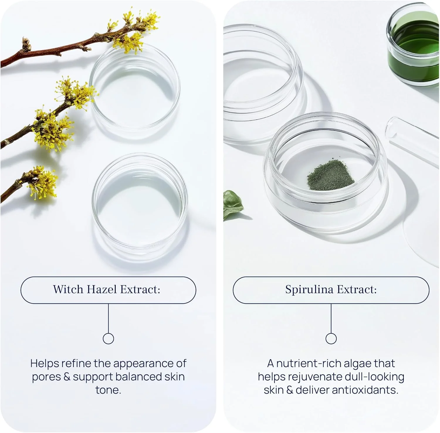 کرم دور چشم PUREANCE Eve - فرمول با آنتی اکسیدان ها و پپتیدها - برای چین و چروک، پف زیر چشم و تیرگی دور چشم - ضد پیری و بدون تست حیوانی