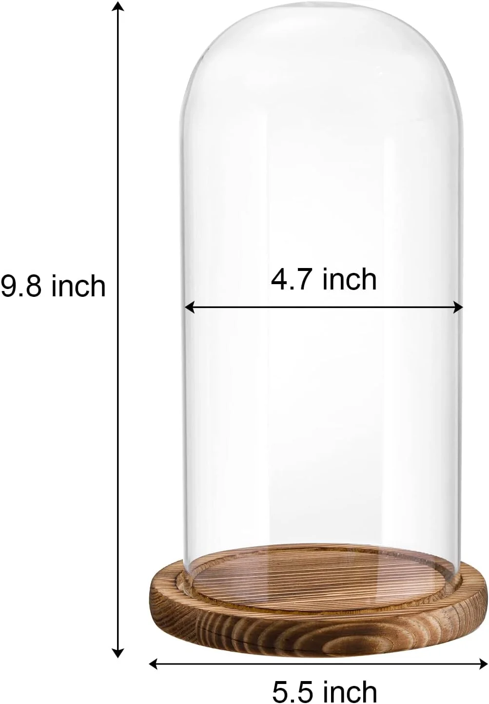 مجموعه 2 عددی پوشش شیشه ای زنگی شکل Mezchi، شیشه تزئینی بزرگ 10 اینچی، ویترین گنبدی شفاف با پایه چوبی قهوه ای تیره، برای گیاهان، مدال ها، عکس ها، کلکسیون های عتیقه، روز مادر
