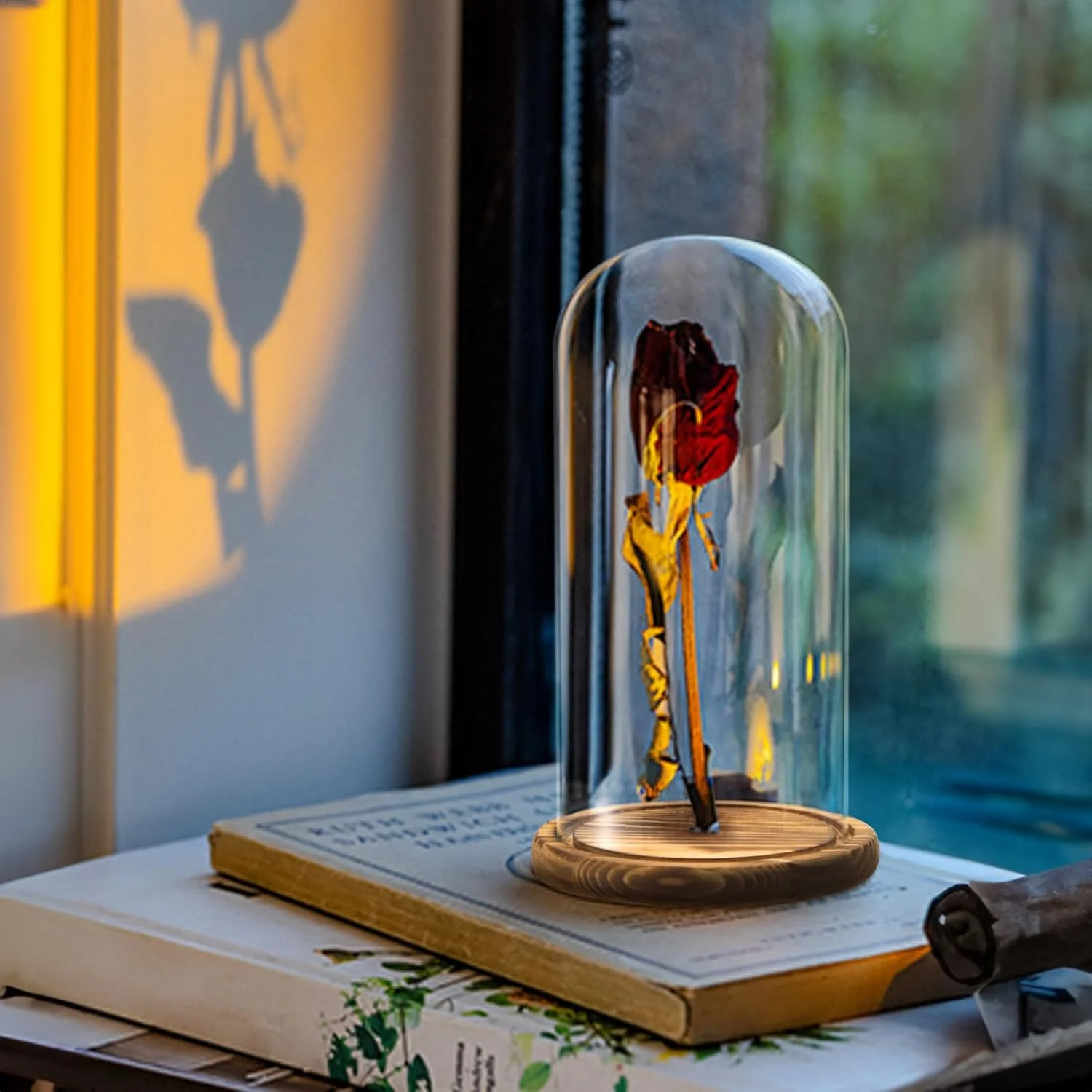 مجموعه 2 عددی پوشش شیشه ای زنگی شکل Mezchi، شیشه تزئینی بزرگ 10 اینچی، ویترین گنبدی شفاف با پایه چوبی قهوه ای تیره، برای گیاهان، مدال ها، عکس ها، کلکسیون های عتیقه، روز مادر