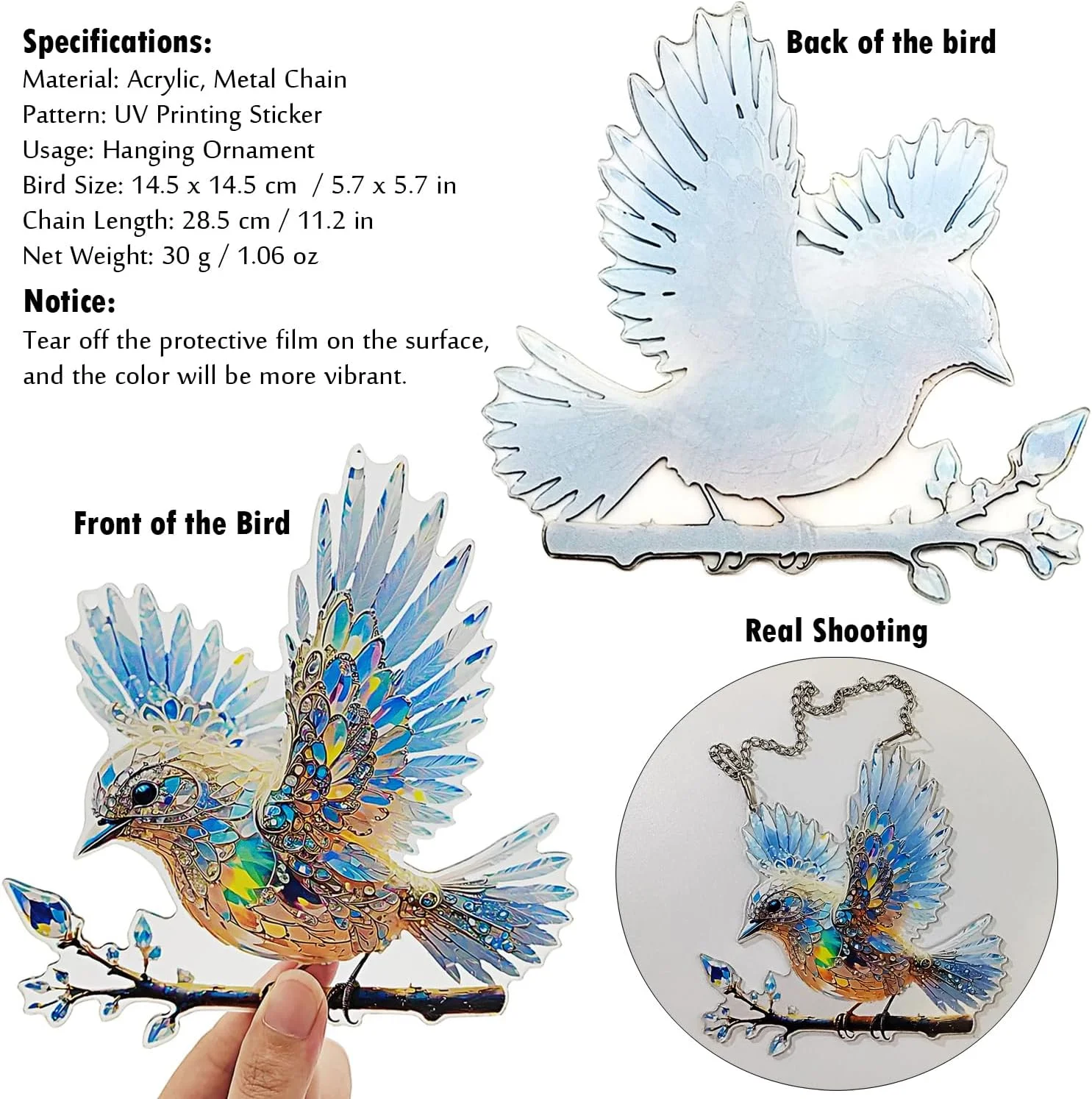 آویز تزئینی پرنده زیبا Tipmant برای خانه، دیوار، اتاق نشیمن، دکوراسیون صحنه جشنواره، صفحه اکریلیک تخت دو بعدی با جلوه بصری سه بعدی