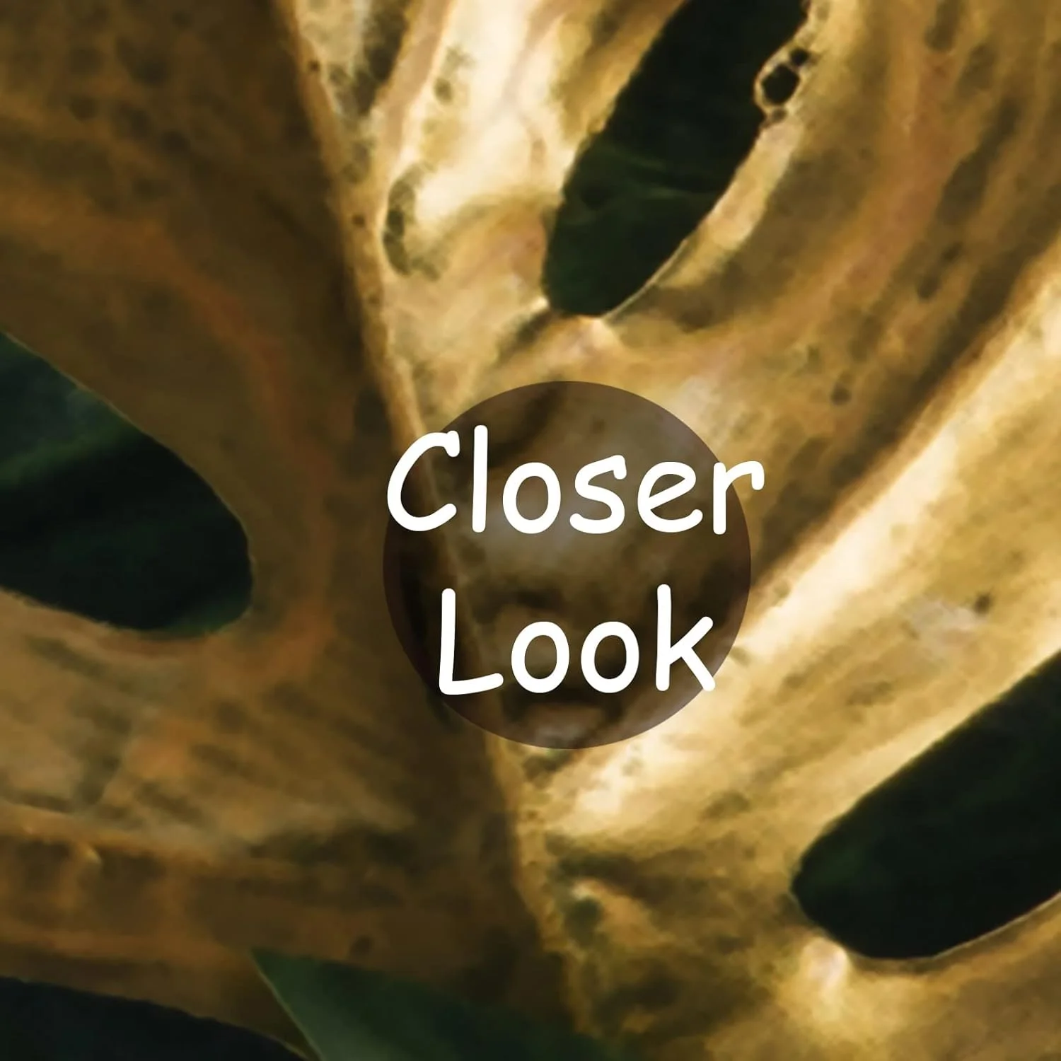 کاغذ دیواری طرح برگ های استوایی و جنگلی برای اتاق نشیمن