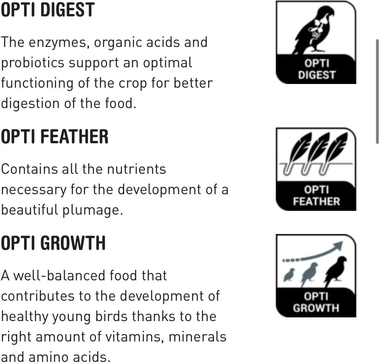 ورسلا-لاگا NutriBird A21 800G به همراه ظرف غذای رایگان، غذای دستی برای جوجه پرندگان | سرلاک مغذی برای طوطی ها، مرغ عشق ها و پرندگان زینتی | فرمول با پروتئین بالا و هضم آسان برای رشد و سلامتی