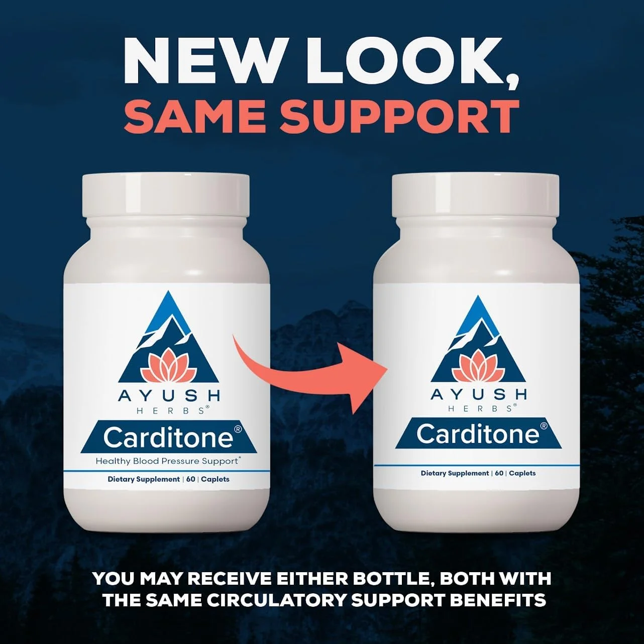 کپسول گیاهی آیوش هربز Carditone، پشتیبانی گیاهی آیورودا، حاوی راولفیا، آرجونا و منیزیم، 60 عدد کپسول گیاهی کپسول گیاهی آیوش هربز Carditone، پشتیبانی گیاهی آیورودا، حاوی راولفیا، آرجونا و منیزیم، 60 عدد کپسول گیاهی