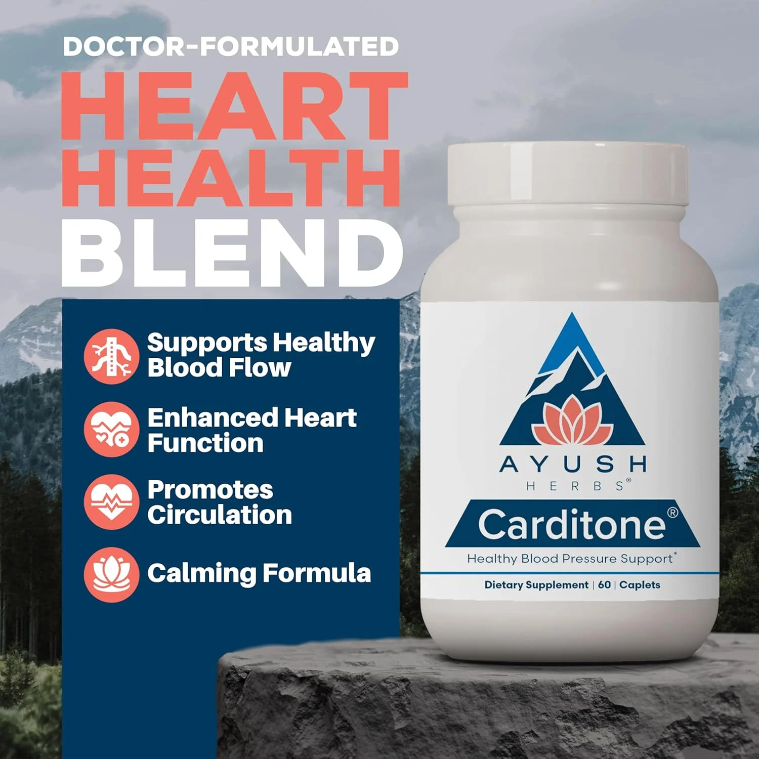 کپسول گیاهی آیوش هربز Carditone، پشتیبانی گیاهی آیورودا، حاوی راولفیا، آرجونا و منیزیم، 60 عدد کپسول گیاهی کپسول گیاهی آیوش هربز Carditone، پشتیبانی گیاهی آیورودا، حاوی راولفیا، آرجونا و منیزیم، 60 عدد کپسول گیاهی