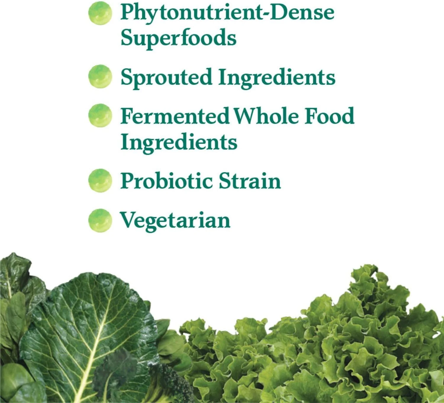 پودر فرمول غذای سبز عالی Garden of Life - 10.58 اونس 62892 پودر فرمول غذای سبز عالی Garden of Life - 10.58 اونس 62892