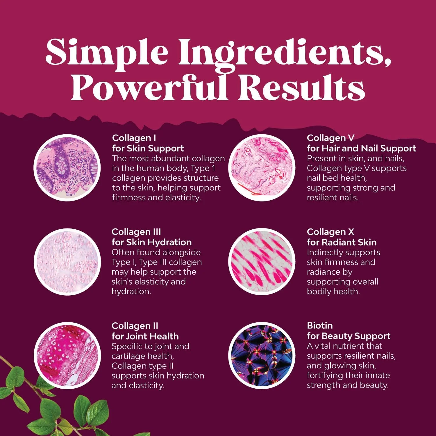 کپسول های پپتیدهای کلاژن پیشرفته - مکمل بیوتین و کلاژن به همراه BioPerine و ویتامین های پوست و مو و ناخن برای زنان و مردان - کپسول های کلاژن برای زنان حاوی انواع 1، 2، 3، 5 و X کپسول های پپتیدهای کلاژن پیشرفته - مکمل بیوتین و کلاژن به همراه BioPerine و ویتامین های پوست و مو و ناخن برای زنان و مردان - کپسول های کلاژن برای زنان حاوی انواع 1، 2، 3، 5 و X