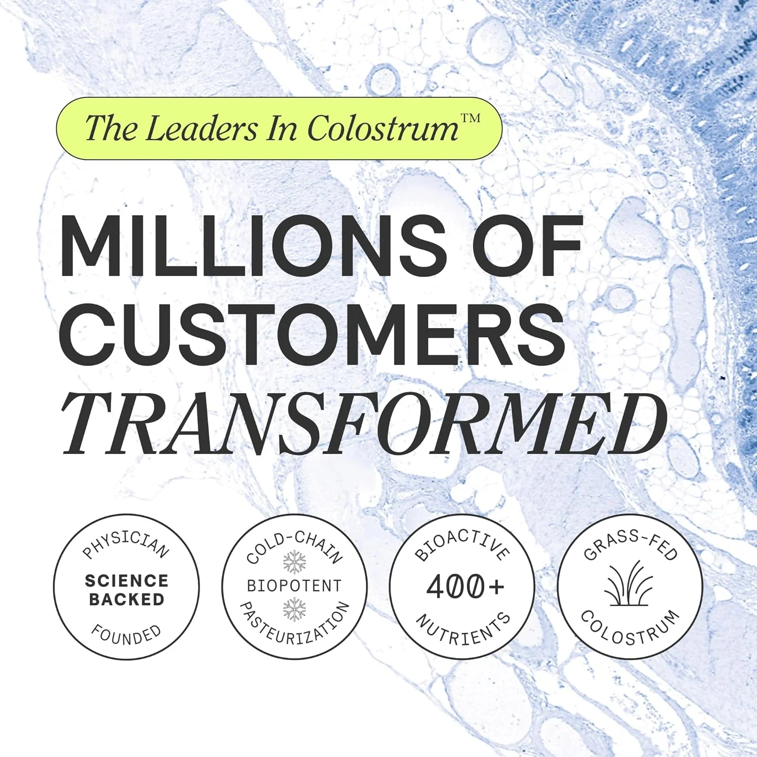 پودر آغوز ممتاز ARMRA، تغذیه شده با علف، برای سلامت روده، نفخ، ایمنی، پوست و مو، حاوی بیش از 400 ماده مغذی فعال زیستی، فراهمی زیستی پودر آغوز ممتاز ARMRA، تغذیه شده با علف، برای سلامت روده، نفخ، ایمنی، پوست و مو، حاوی بیش از 400 ماده مغذی فعال زیستی، فراهمی زیستی