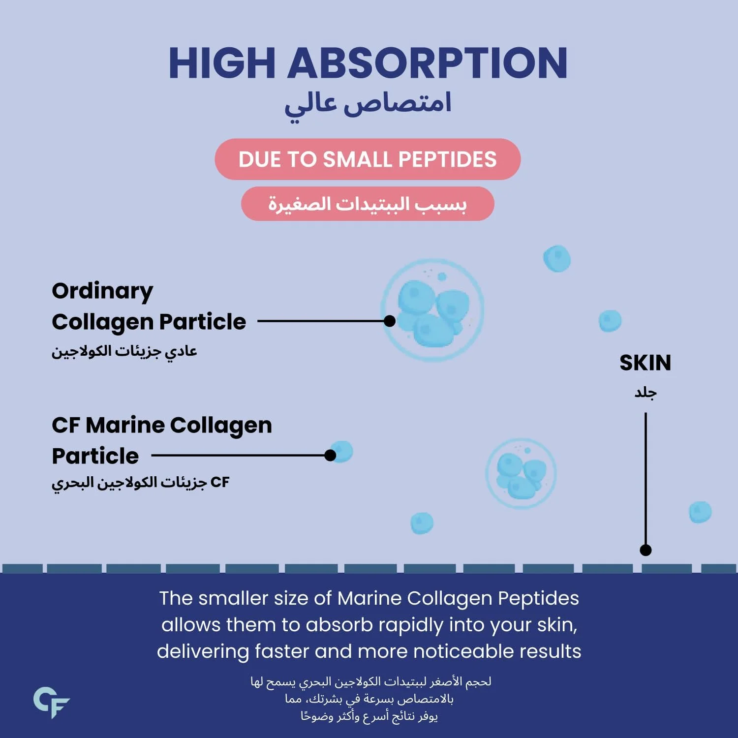 قرص های پپتیدهای کلاژن دریایی Carbamide Forte | مکمل های کلاژن دریایی برای زنان و مردان برای پوست، مو و ناخن - 90 قرص قرص های پپتیدهای کلاژن دریایی Carbamide Forte | مکمل های کلاژن دریایی برای زنان و مردان برای پوست، مو و ناخن - 90 قرص