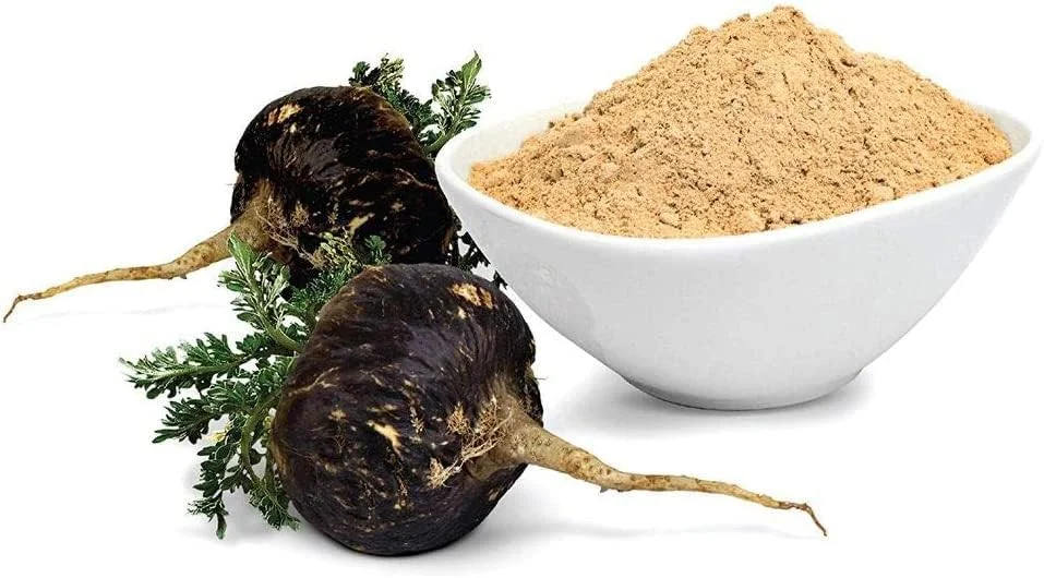 پودر ریشه ماکا سیاه اورجینال Essence Nutrition (۱۵۰ گرم) - ماکای خالص و موثر برای تمرین، استقامت و قدرت | وارد شده از پرو - قابل استفاده به عنوان قهوه ماکا برای آقایان