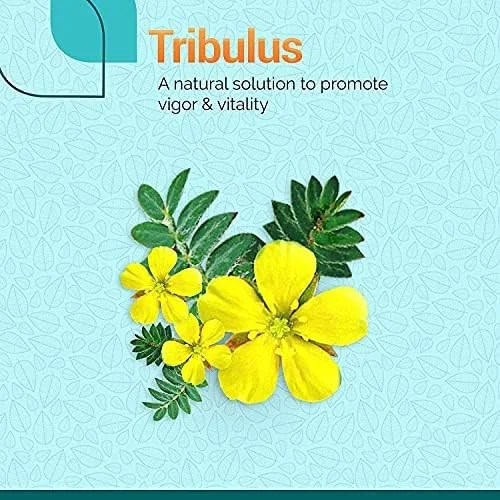 هیمالیا تریبولوس 60 کپسول گیاهی؛ پشتیبانی طبیعی از سلامت مردان؛ نیرو؛ افزایش سرزندگی و انگیزه هیمالیا تریبولوس 60 کپسول گیاهی؛ پشتیبانی طبیعی از سلامت مردان؛ نیرو؛ افزایش سرزندگی و انگیزه
