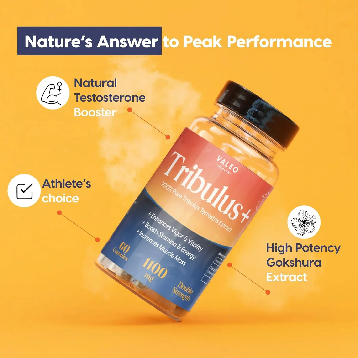 مکمل تقویت کننده Valeo Tribulus+ - 60 کپسول | پشتیبانی طبیعی از تستوسترون برای مردان | افزایش انرژی، استقامت، نشاط، قدرت عضلانی و عملکرد | فرمول گیاهی سلامت مردان