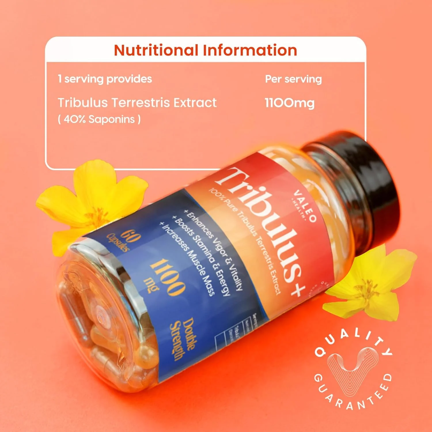 مکمل تقویت کننده Valeo Tribulus+ - 60 کپسول | پشتیبانی طبیعی از تستوسترون برای مردان | افزایش انرژی، استقامت، نشاط، قدرت عضلانی و عملکرد | فرمول گیاهی سلامت مردان