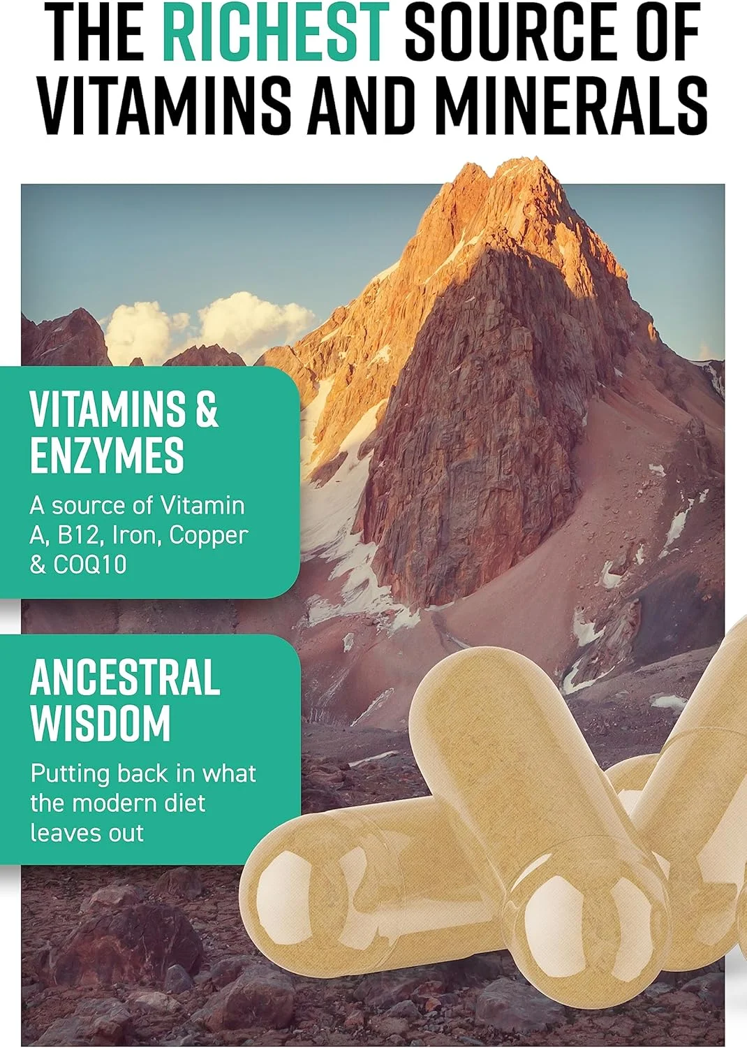 هونتر اند گدر مکمل غذایی کامل لاشه گوسفند - 180 کپسول | تهیه شده از گوشت گوسفند ایسلندی تغذیه شده با علف | مکمل های الهام گرفته از نیاکان | گوشت خام خشک شده انجمادی گوسفند | بدون خوراک اصلاح شده ژنتیکی، آنتی بیوتیک یا هورمون هونتر اند گدر مکمل غذایی کامل لاشه گوسفند - 180 کپسول | تهیه شده از گوشت گوسفند ایسلندی تغذیه شده با علف | مکمل های الهام گرفته از نیاکان | گوشت خام خشک شده انجمادی گوسفند | بدون خوراک اصلاح شده ژنتیکی، آنتی بیوتیک یا هورمون