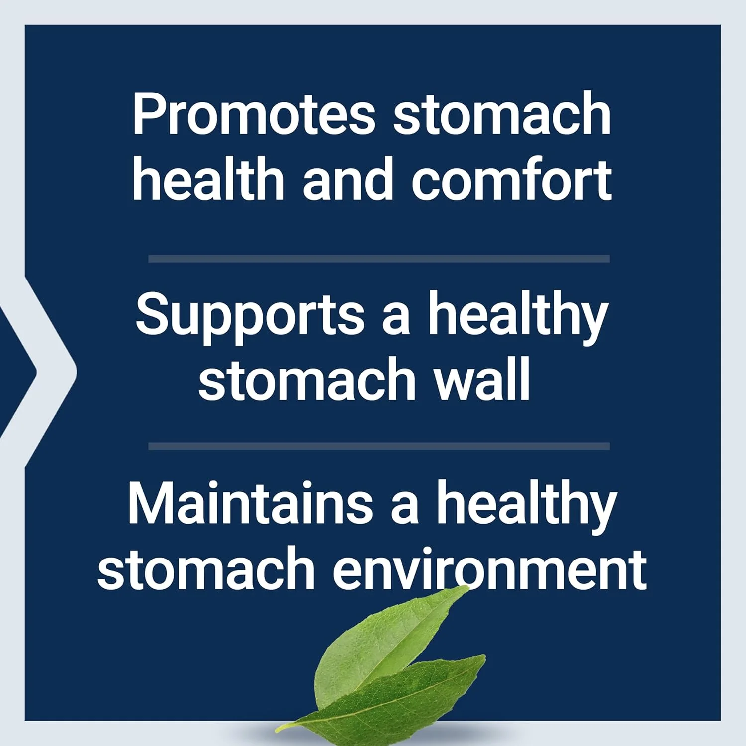 مکمل سلامت دستگاه گوارش لایف اکستنشن Gastro-Ease - مکمل سلامت معده حاوی زینک ال-کارنوزین به همراه Pylopass برای پشتیبانی از سلامت معده - غیر تراریخته، بدون گلوتن - 60 کپسول گیاهی مکمل سلامت دستگاه گوارش لایف اکستنشن Gastro-Ease - مکمل سلامت معده حاوی زینک ال-کارنوزین به همراه Pylopass برای پشتیبانی از سلامت معده - غیر تراریخته، بدون گلوتن - 60 کپسول گیاهی