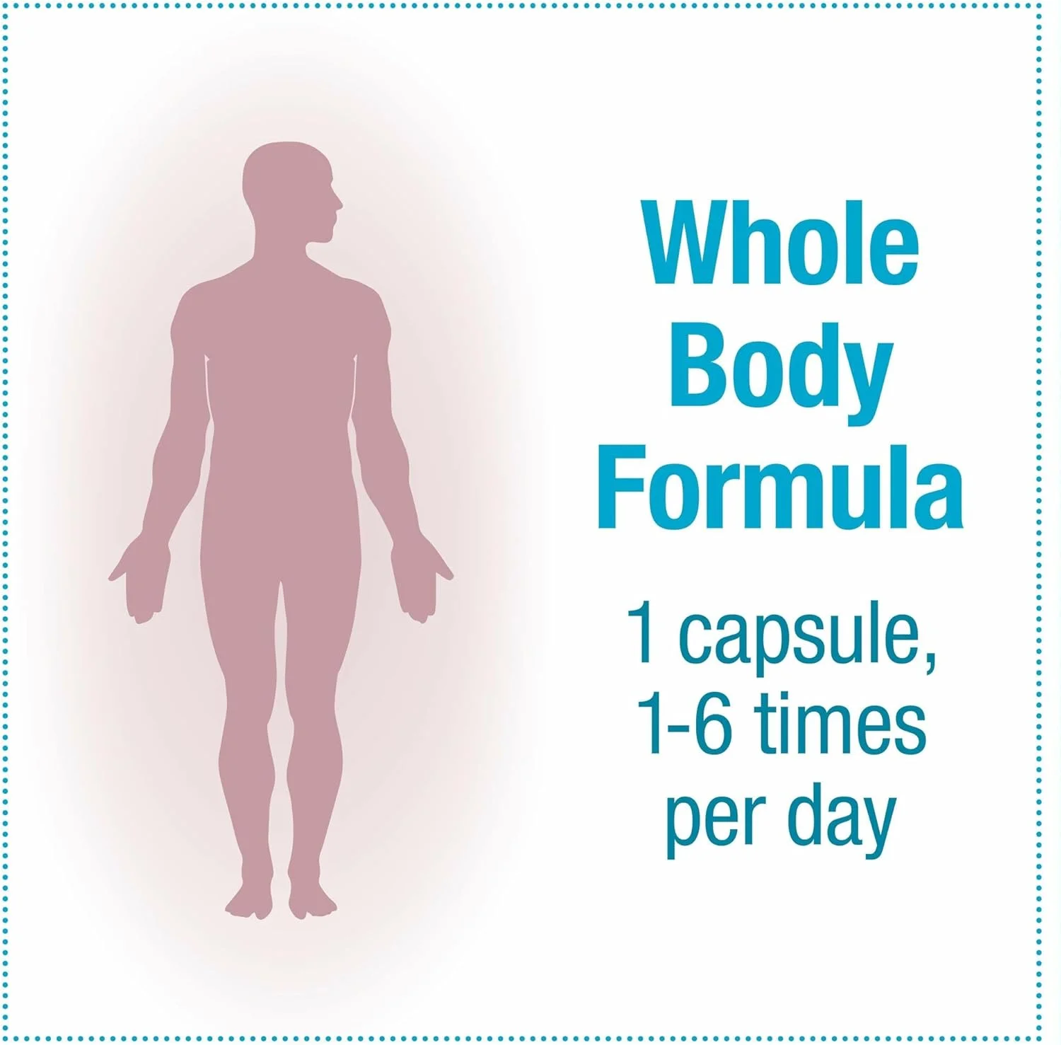 نچرال فاکتورز تراول بایوتیک BB536، 10 میلیارد پروبیوتیک فعال، 60 کپسول گیاهی