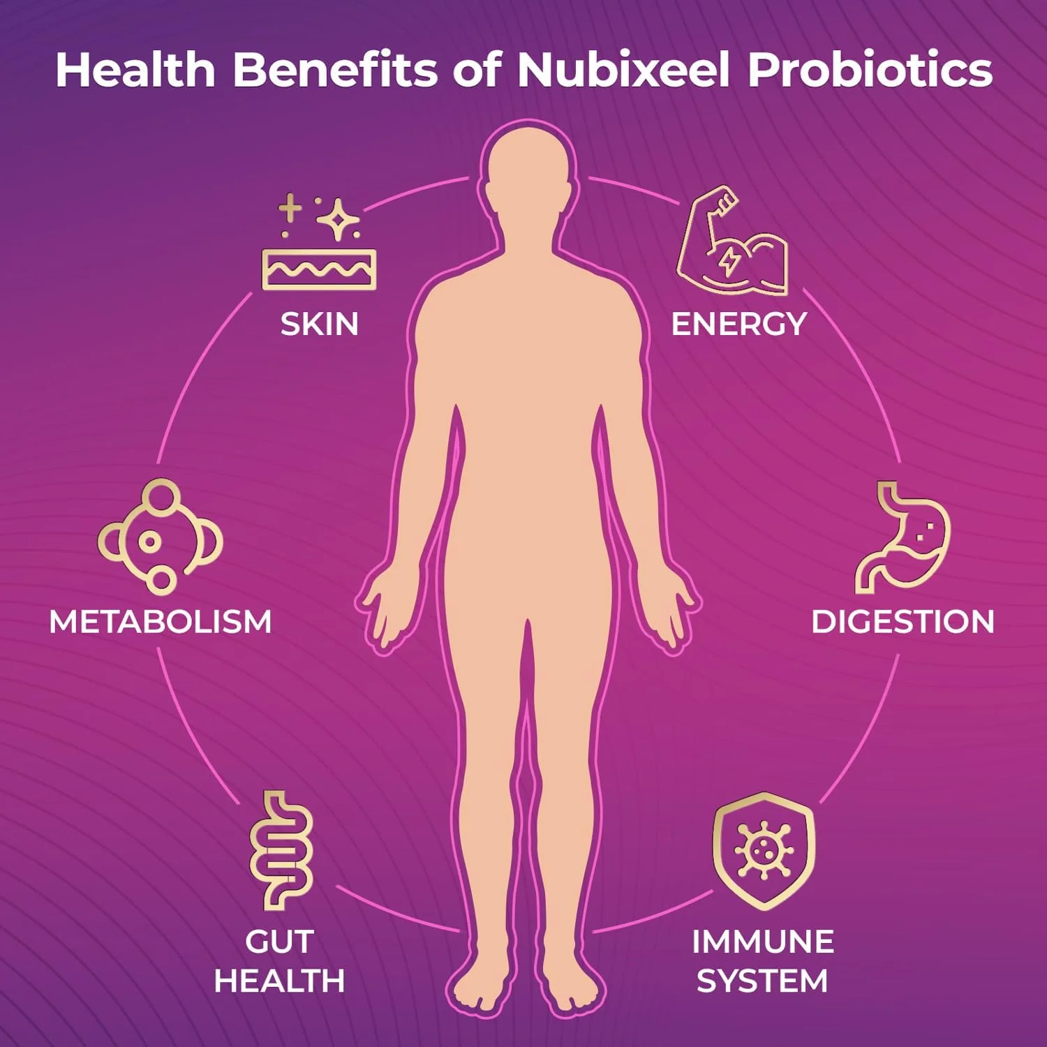 قرص های پروبیوتیک ممتاز - 5 میلیارد CFU با پری بیوتیک ها و لاکتوباسیلوس | پشتیبانی از سلامت دستگاه گوارش، ایمنی و پوست | برای زنان و مردان | فاقد گلوتن | فاقد شکر | دارای گواهی حلال | سلامت روده