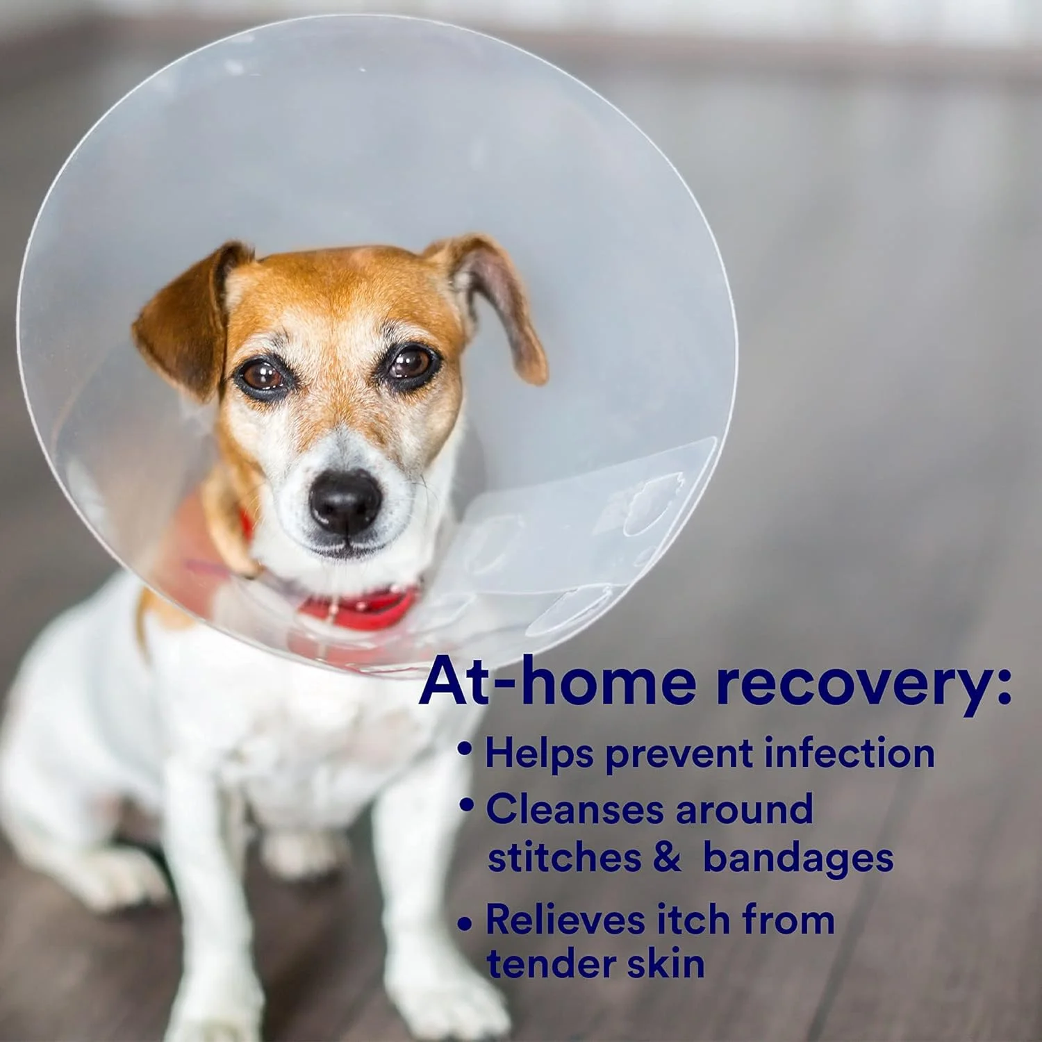 محلول ضد میکروبی مراقبت از زخم SkinSmart برای حیوانات خانگی، اسید هیپوکلروس باکتری ها را از بین می برد تا باعث بهبود شود و خارش را تسکین می دهد، در صورت لیسیدن بی خطر است، بطری اسپری 236 میلی لیتری محلول ضد میکروبی مراقبت از زخم SkinSmart برای حیوانات خانگی، اسید هیپوکلروس باکتری ها را از بین می برد تا باعث بهبود شود و خارش را تسکین می دهد، در صورت لیسیدن بی خطر است، بطری اسپری 236 میلی لیتری