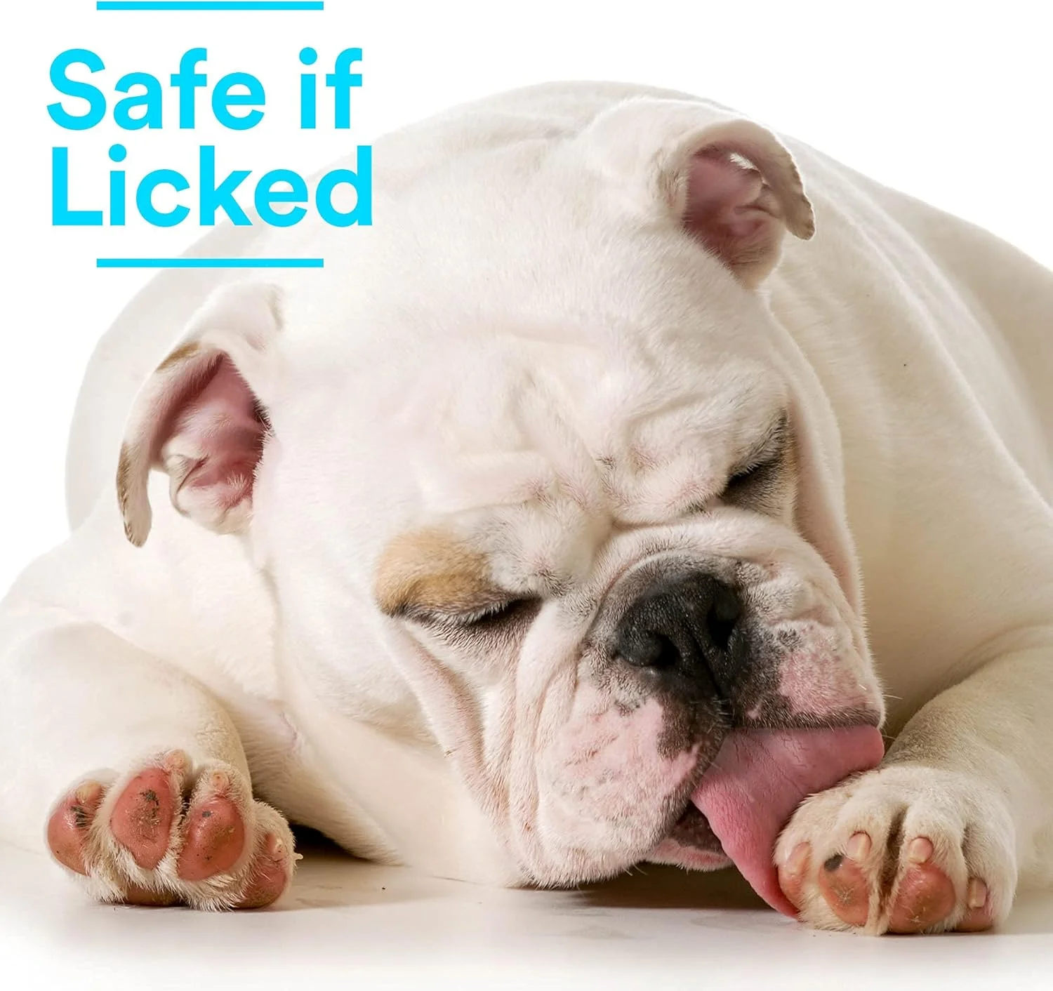 محلول ضد میکروبی مراقبت از زخم SkinSmart برای حیوانات خانگی، اسید هیپوکلروس باکتری ها را از بین می برد تا باعث بهبود شود و خارش را تسکین می دهد، در صورت لیسیدن بی خطر است، بطری اسپری 236 میلی لیتری محلول ضد میکروبی مراقبت از زخم SkinSmart برای حیوانات خانگی، اسید هیپوکلروس باکتری ها را از بین می برد تا باعث بهبود شود و خارش را تسکین می دهد، در صورت لیسیدن بی خطر است، بطری اسپری 236 میلی لیتری