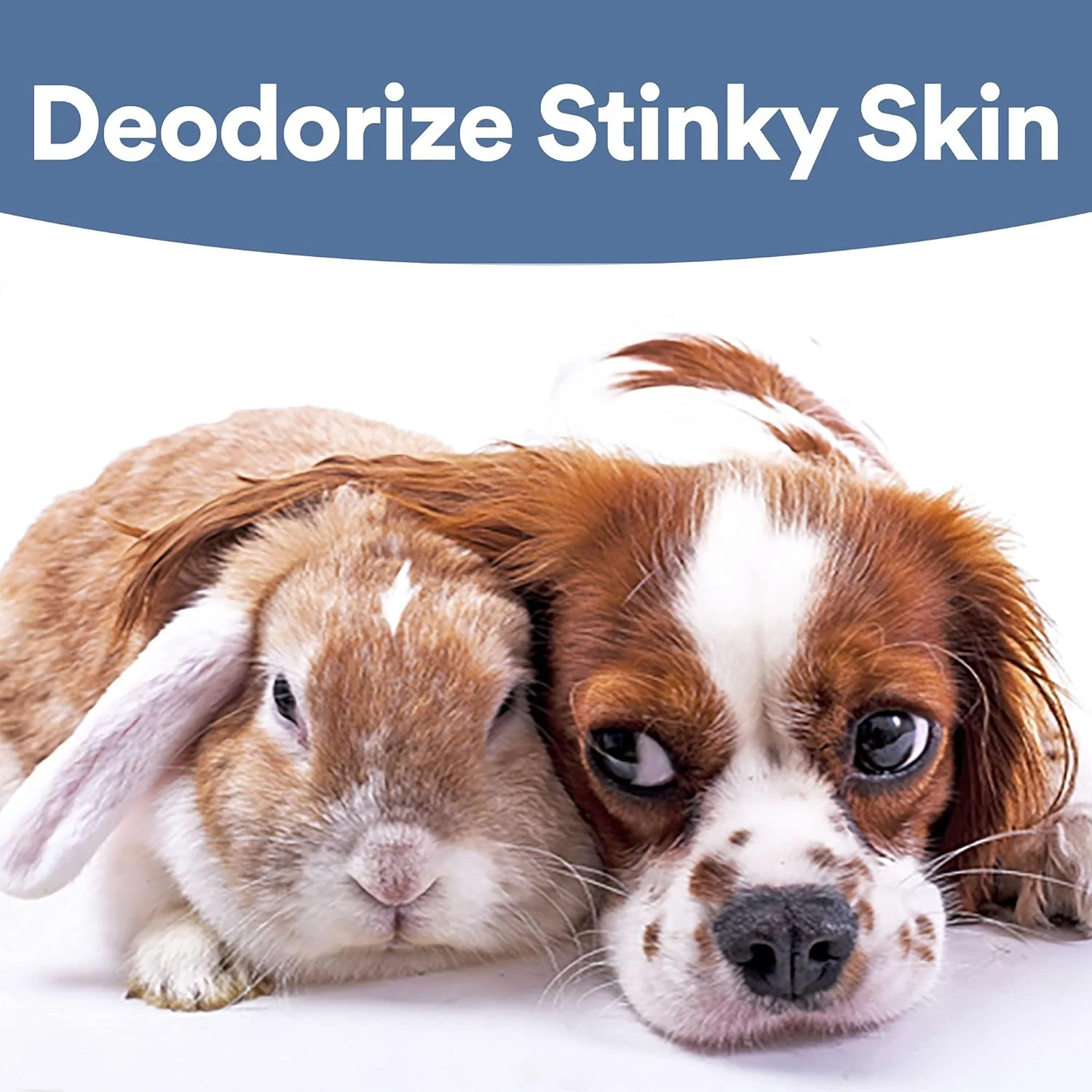 محلول ضد میکروبی مراقبت از زخم SkinSmart برای حیوانات خانگی، اسید هیپوکلروس باکتری ها را از بین می برد تا باعث بهبود شود و خارش را تسکین می دهد، در صورت لیسیدن بی خطر است، بطری اسپری 236 میلی لیتری محلول ضد میکروبی مراقبت از زخم SkinSmart برای حیوانات خانگی، اسید هیپوکلروس باکتری ها را از بین می برد تا باعث بهبود شود و خارش را تسکین می دهد، در صورت لیسیدن بی خطر است، بطری اسپری 236 میلی لیتری