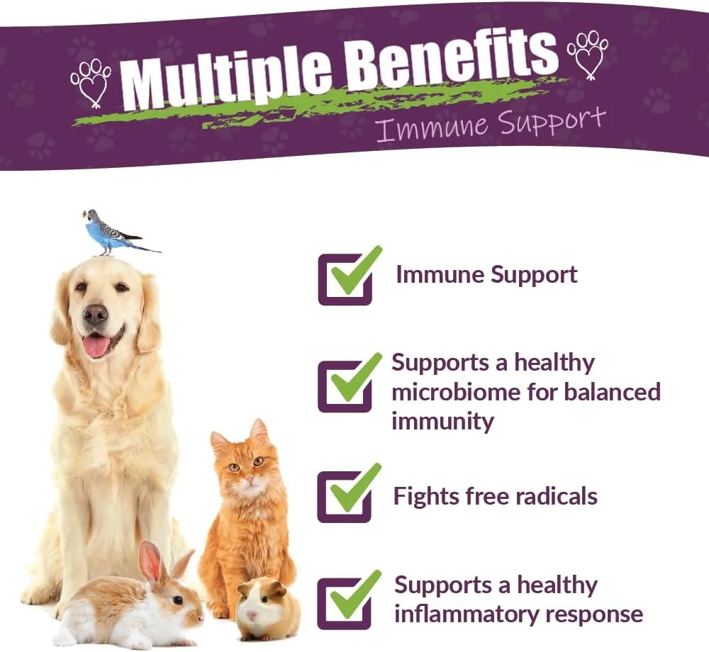 ویباکترا - جایگزین آنتی بیوتیک طبیعی و ارگانیک برای حیوانات خانگی