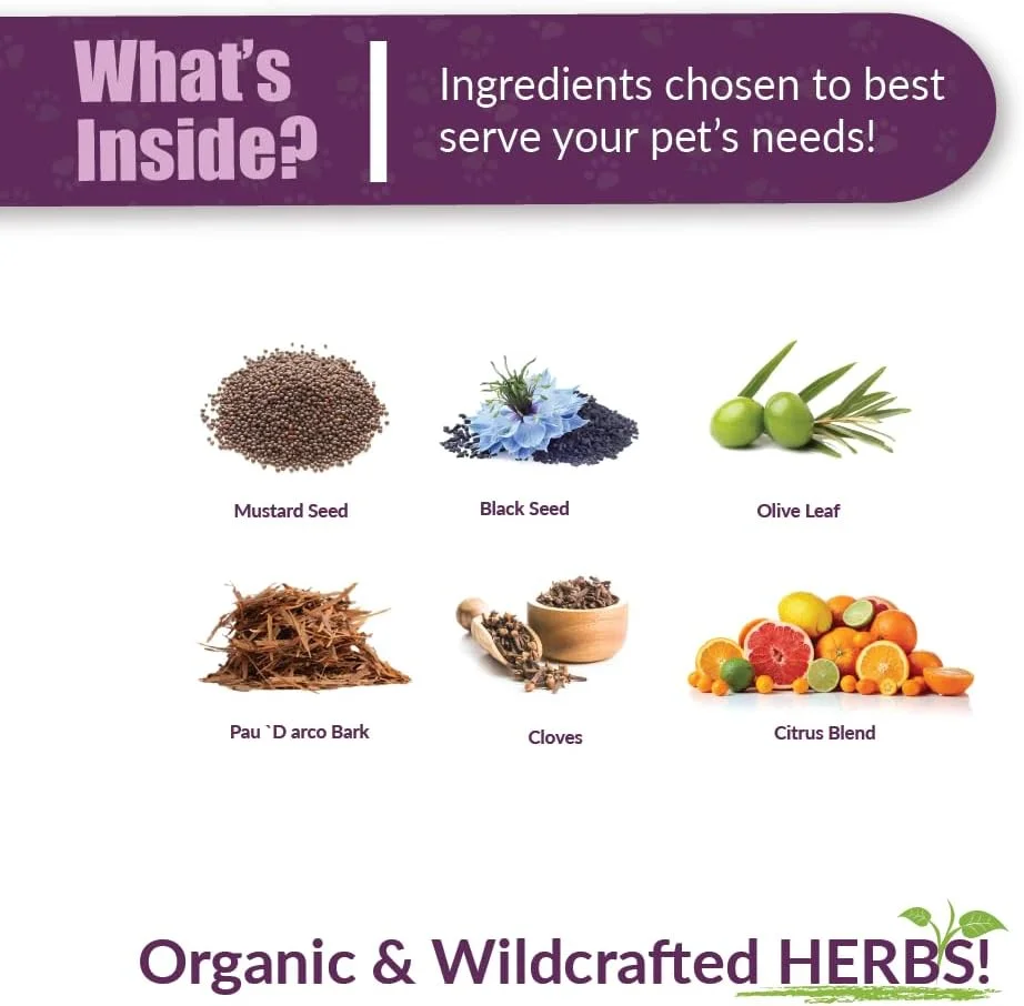 ویباکترا - جایگزین آنتی بیوتیک طبیعی و ارگانیک برای حیوانات خانگی