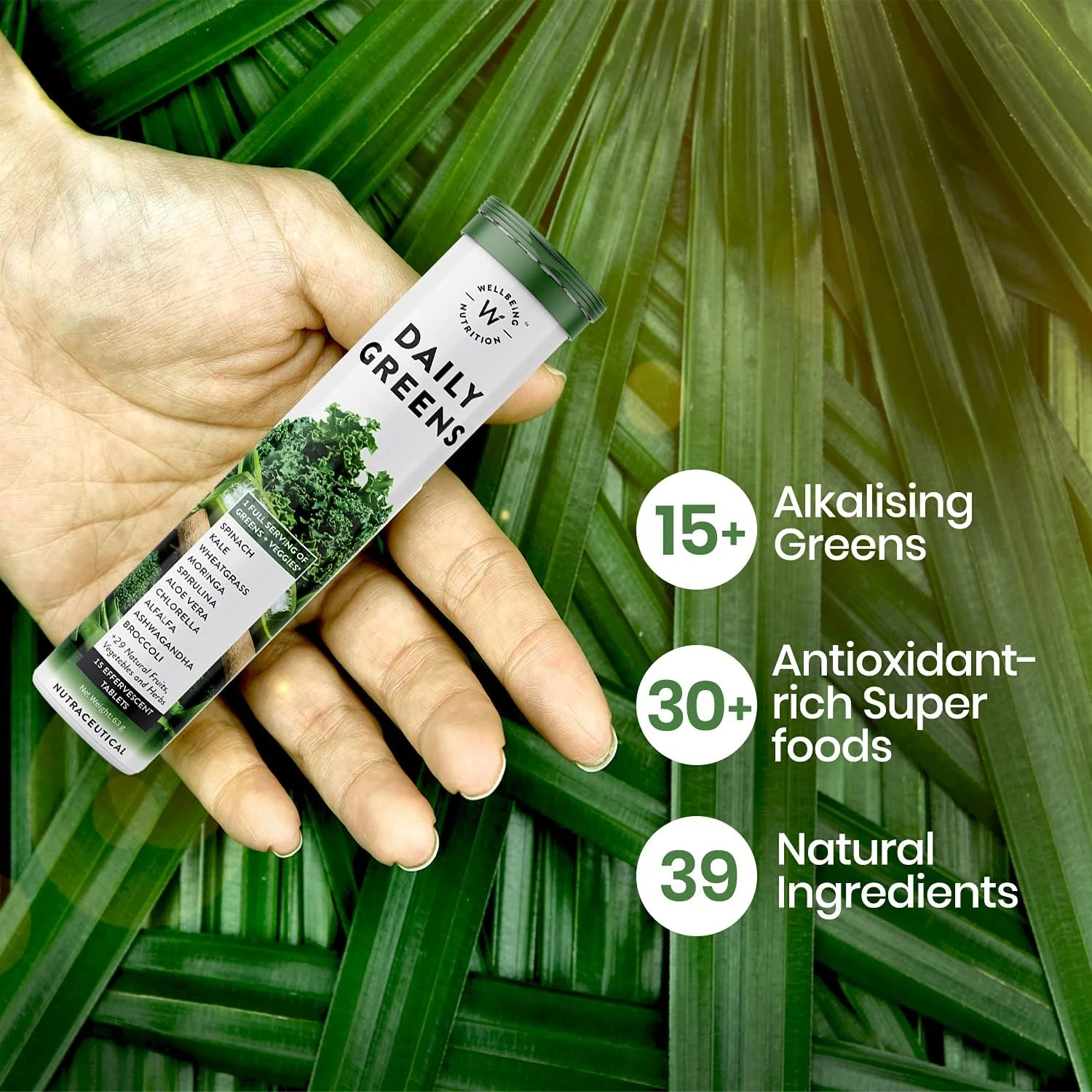 Wellbeing Nutrition Daily Greens برای ایمنی و سم زدایی با 39+ گیاه ارگانیک تایید شده و آنتی اکسیدان (بسته 2 عددی)