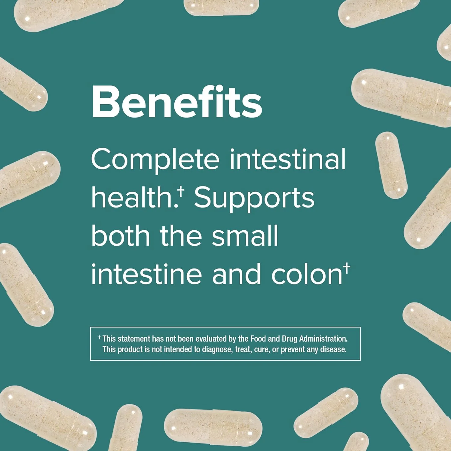 پروبیوتیک 30 میلیارد واحدی Webber Naturals، برای آقایان، بانوان و بزرگسالان، ماندگاری بالا (بدون نیاز به یخچال)، 8 سویه پروبیوتیکی، 30 کپسول گیاهی، برای سلامت دستگاه گوارش