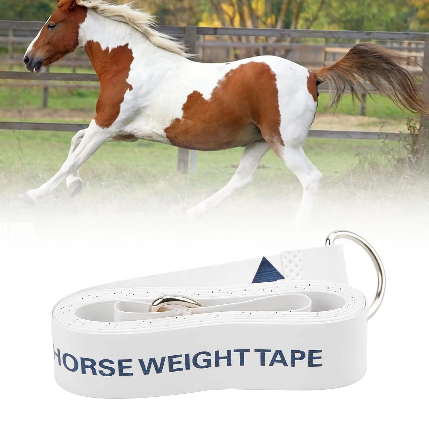 متر اندازه گیری 25 متری برای اسب، متر نواری نرم با سگک های فلزی، متر اندازه گیری برای اندازه گیری وزن سینه اسب، نوار وزن حیوانات برای دامپزشکان و سوارکاران متر اندازه گیری 25 متری برای اسب، متر نواری نرم با سگک های فلزی، متر اندازه گیری برای اندازه گیری وزن سینه اسب، نوار وزن حیوانات برای دامپزشکان و سوارکاران