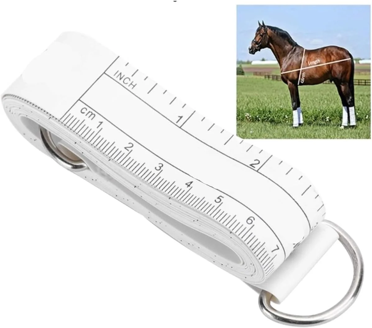 متر نواری اندازه گیری آسان قد و وزن، متر نواری نرم و انعطاف پذیر