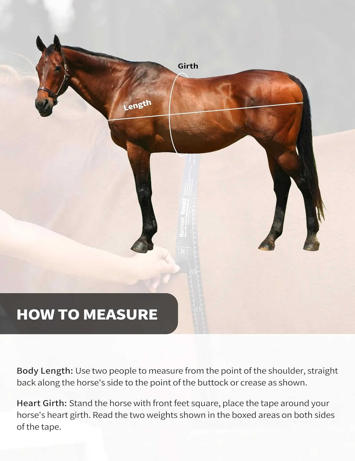 متر اندازه گیری وزن اسب هریسون هاوارد، اندازه گیری دقیق قد و وزن اسب، قابل حمل، طول 2 متر - مشکی (3 عددی)