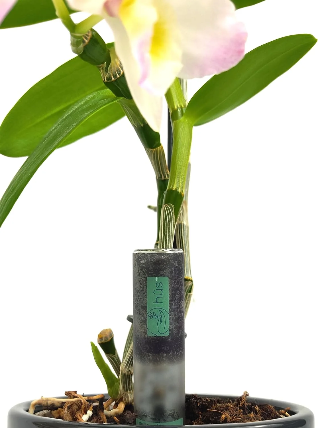 رطوبت سنج دیجیتال خاک گل - رطوبت سنج هوشمند گیاه با سنسور زمان واقعی - هشدارهای ساعتی، تنظیمات فردی - ضد آب IPX7 با باتری 10 ساله رطوبت سنج دیجیتال خاک گل - رطوبت سنج هوشمند گیاه با سنسور زمان واقعی - هشدارهای ساعتی، تنظیمات فردی - ضد آب IPX7 با باتری 10 ساله