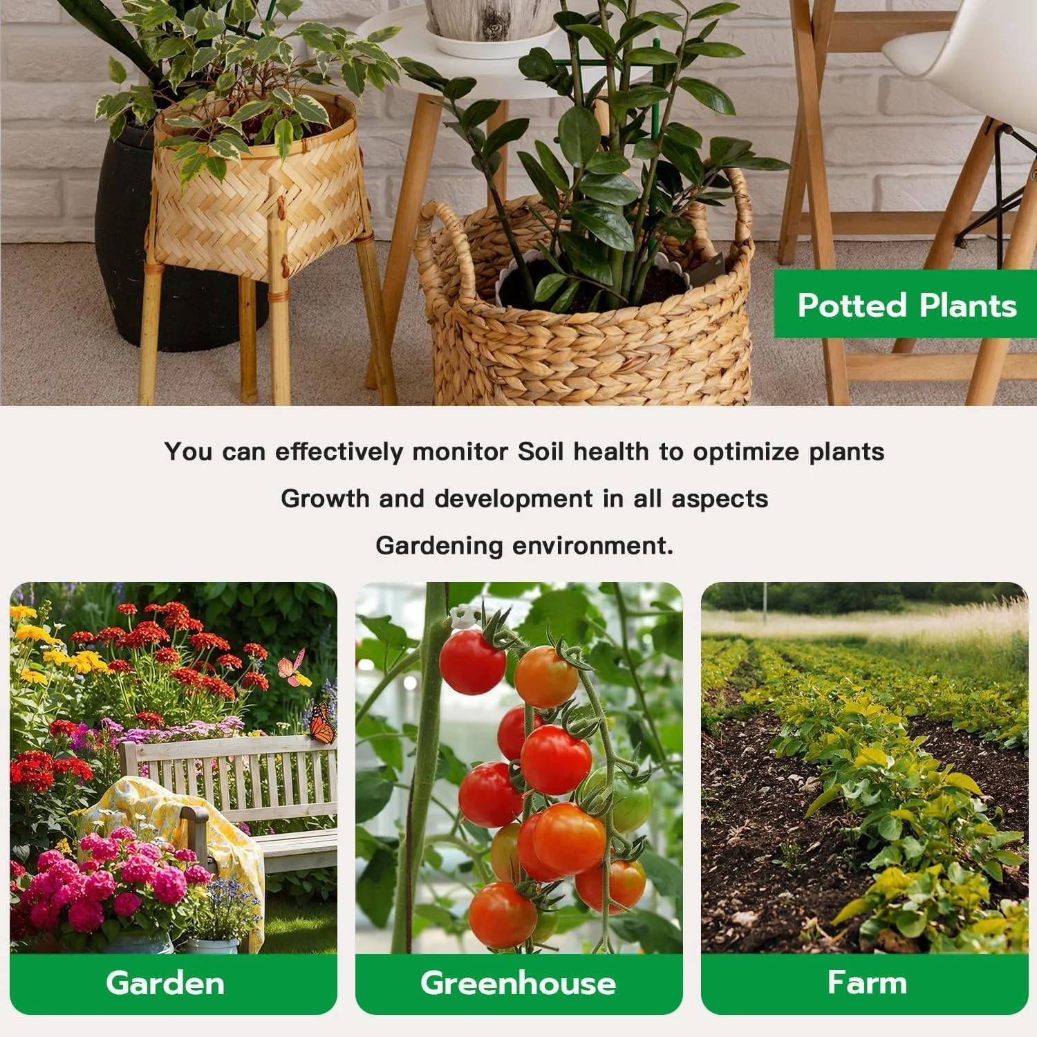 دستگاه تشخیص رطوبت خاک، تستر رطوبت خاک گیاه، مجموعه هوشمند تستر خاک با باتری دکمه ای برای باغ، مزرعه، چمن، فضای داخلی و خارجی دستگاه تشخیص رطوبت خاک، تستر رطوبت خاک گیاه، مجموعه هوشمند تستر خاک با باتری دکمه ای برای باغ، مزرعه، چمن، فضای داخلی و خارجی