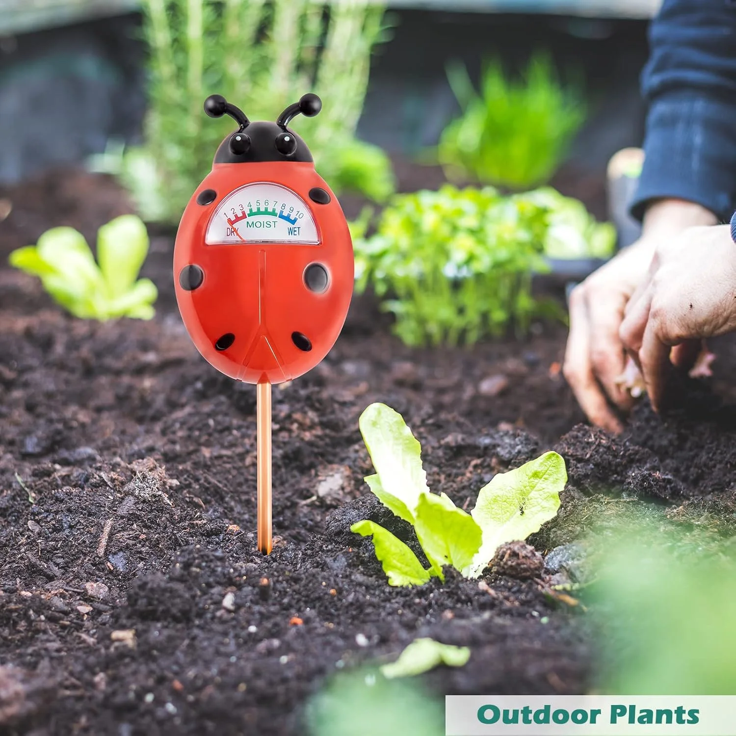 رطوبت سنج خاک Tennedriv Green بسته 2 عددی برای گیاهان آپارتمانی و گیاهان فضای باز، بدون نیاز به باتری رطوبت سنج خاک Tennedriv Green بسته 2 عددی برای گیاهان آپارتمانی و گیاهان فضای باز، بدون نیاز به باتری