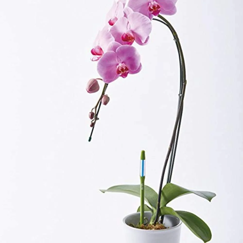 رطوبت سنج خاک گیاه IPPINKA Sustee، مجموعه 4 عددی، (سبز، بزرگ) رطوبت سنج خاک گیاه IPPINKA Sustee، مجموعه 4 عددی، (سبز، بزرگ)