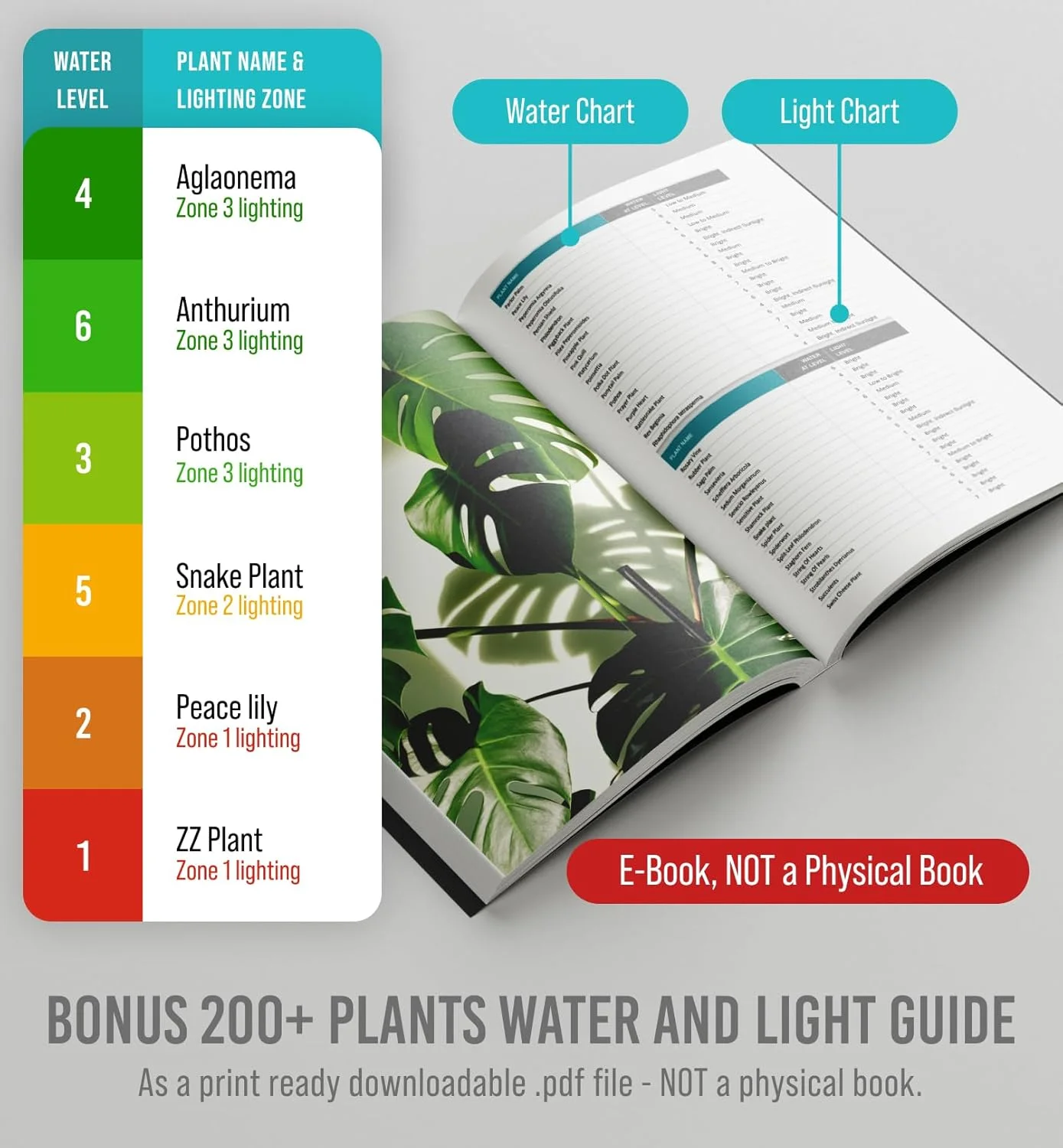 رطوبت سنج خاک Craft911 برای گیاهان - رطوبت سنج گیاه برای گیاهان آپارتمانی | هیدرومتر برای گیاهان | تستر آب برای گیاهان | مناسب برای کشاورزی، گیاهان داخلی و خارجی