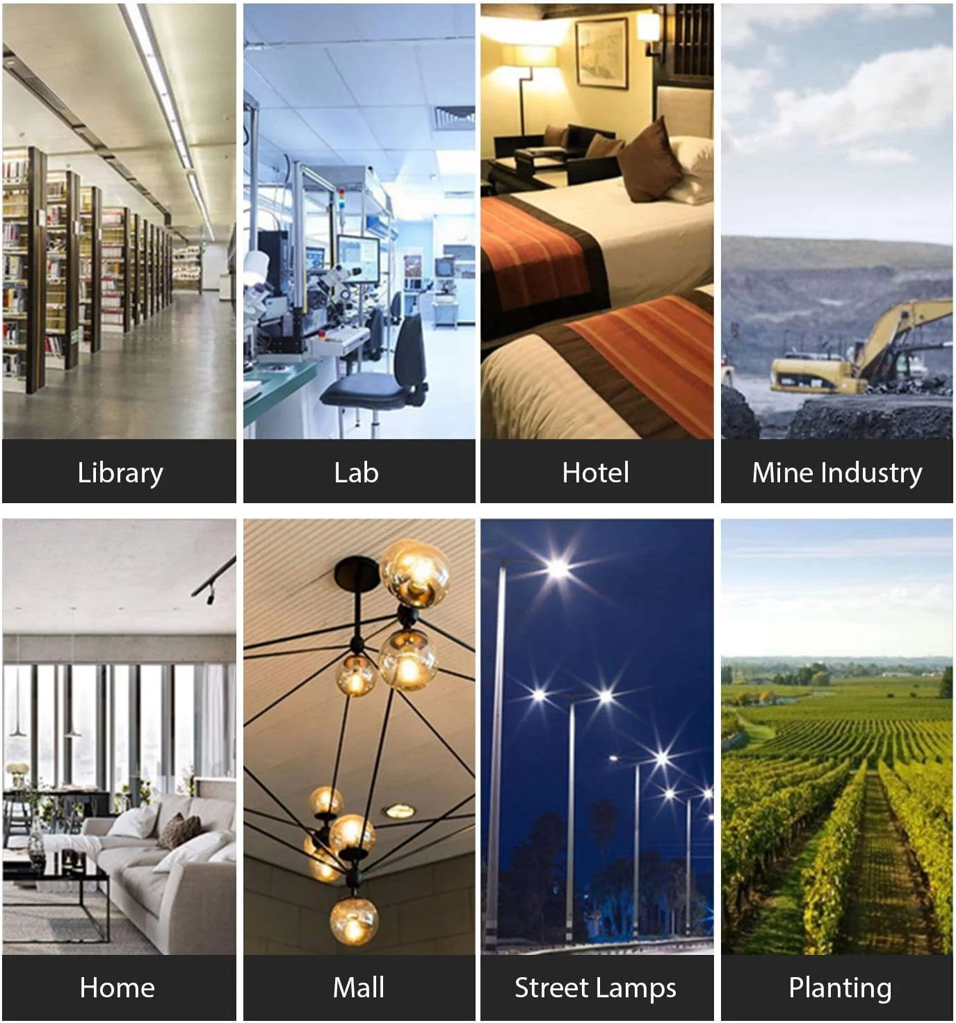 نور سنج دیجیتال Luocute، محدوده 0.1 تا 200000 لوکس با قابلیت ثبت و انتقال داده، تستر نور دستی برای گیاهان، عکاسی و باغ نور سنج دیجیتال Luocute، محدوده 0.1 تا 200000 لوکس با قابلیت ثبت و انتقال داده، تستر نور دستی برای گیاهان، عکاسی و باغ