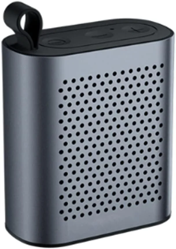 اسپیکر بلوتوثی کوچک ZURBAA با میکروفون، رادیاتور باس، اسپیکر قابل حمل، دارای کیف مسافرتی (رنگ: نقره ای) اسپیکر بلوتوثی کوچک ZURBAA با میکروفون، رادیاتور باس، اسپیکر قابل حمل، دارای کیف مسافرتی (رنگ: نقره ای)