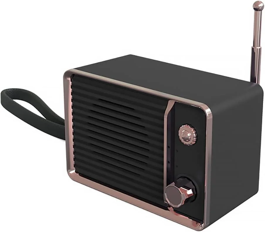 اسپیکر رادیو قدیمی بلوتوث دار صورتی، اسپیکرهای استریو بی سیم، اسپیکرهای قابل حمل با صدای قدرتمند کارت TF (رنگ: Hortel) اسپیکر رادیو قدیمی بلوتوث دار صورتی، اسپیکرهای استریو بی سیم، اسپیکرهای قابل حمل با صدای قدرتمند کارت TF (رنگ: Hortel)